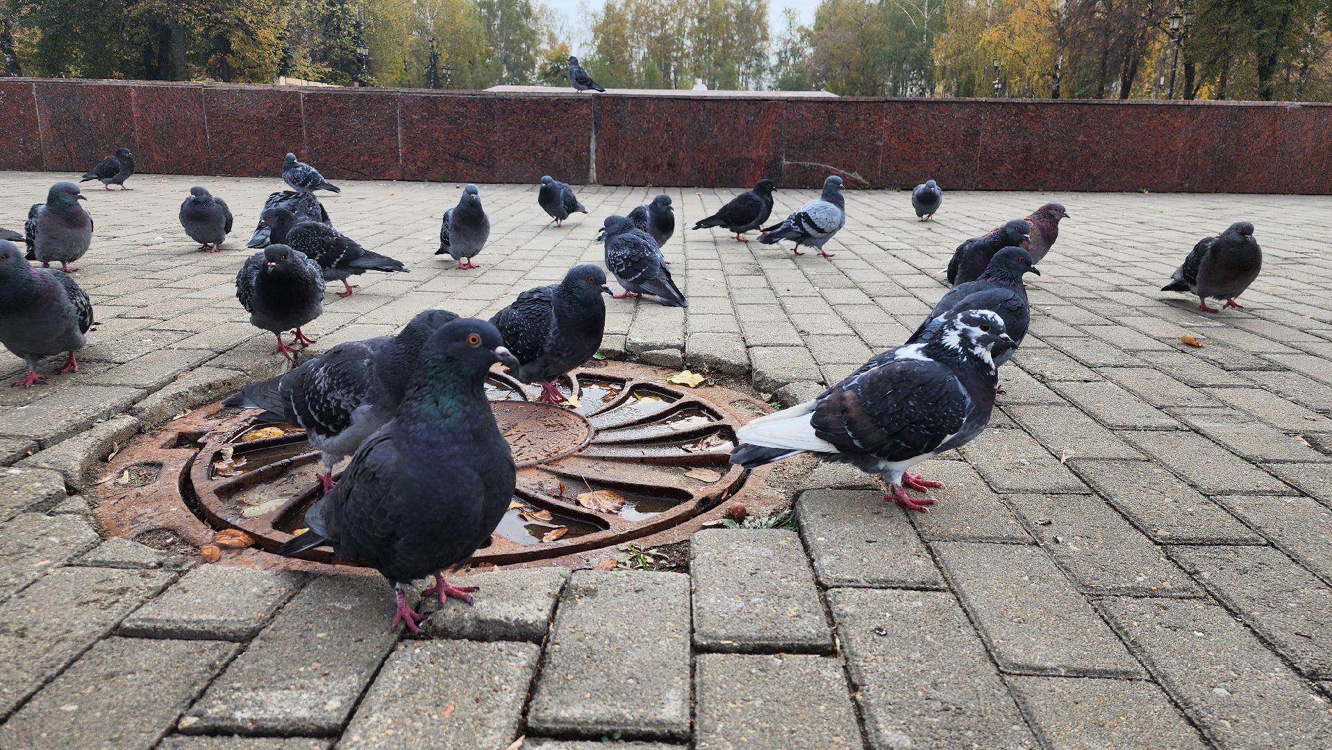 консервация фонтанов, сезон фонтанов, коммунальные службы, Старая Купавна,