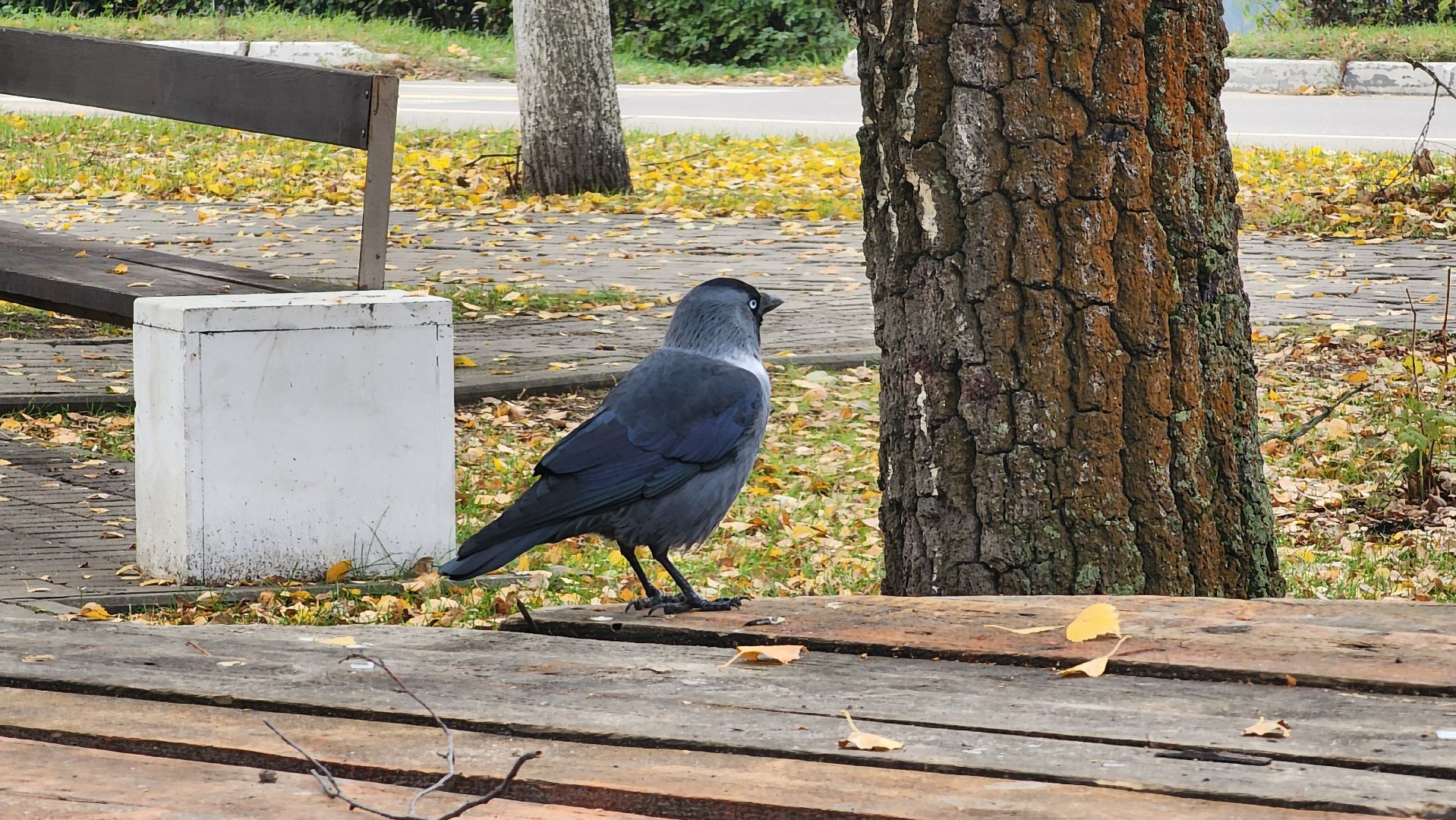 консервация фонтанов, сезон фонтанов, коммунальные службы, Старая Купавна,