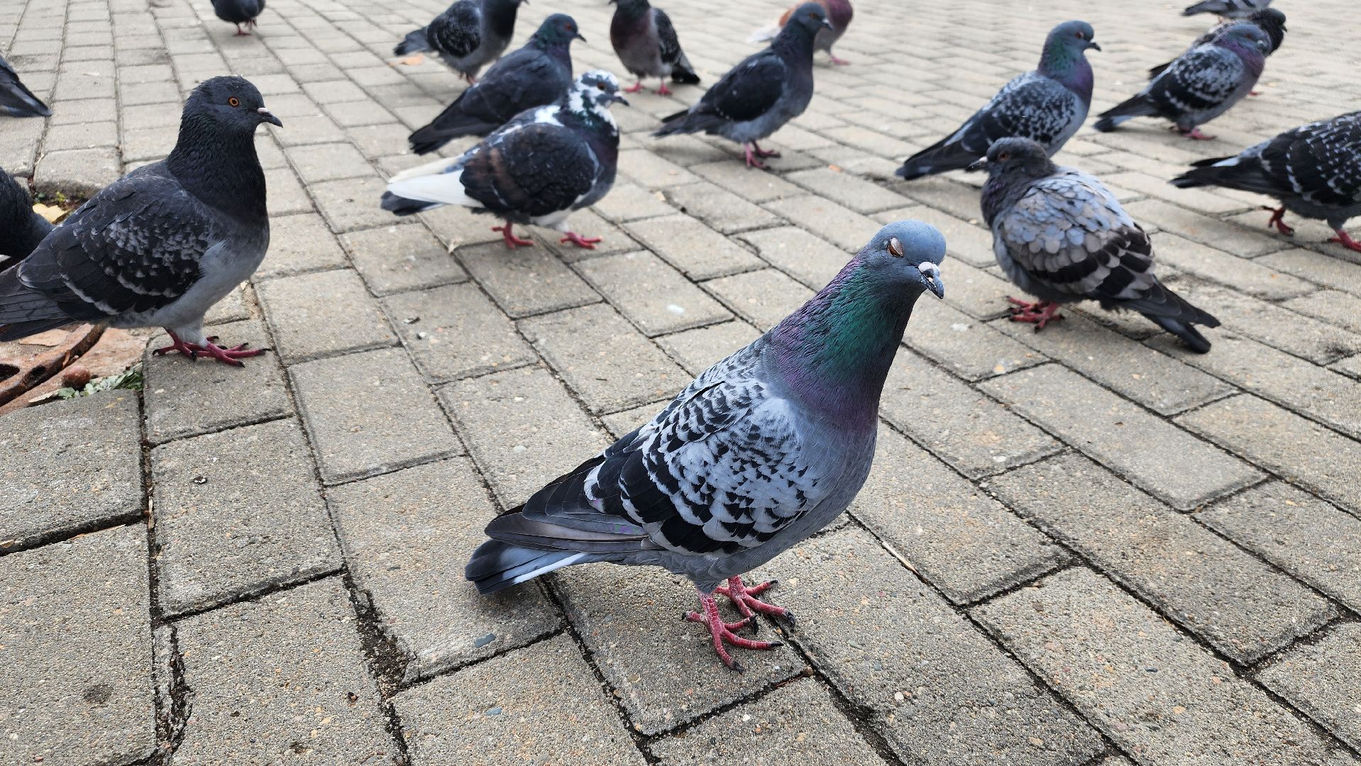 консервация фонтанов, сезон фонтанов, коммунальные службы, Старая Купавна,