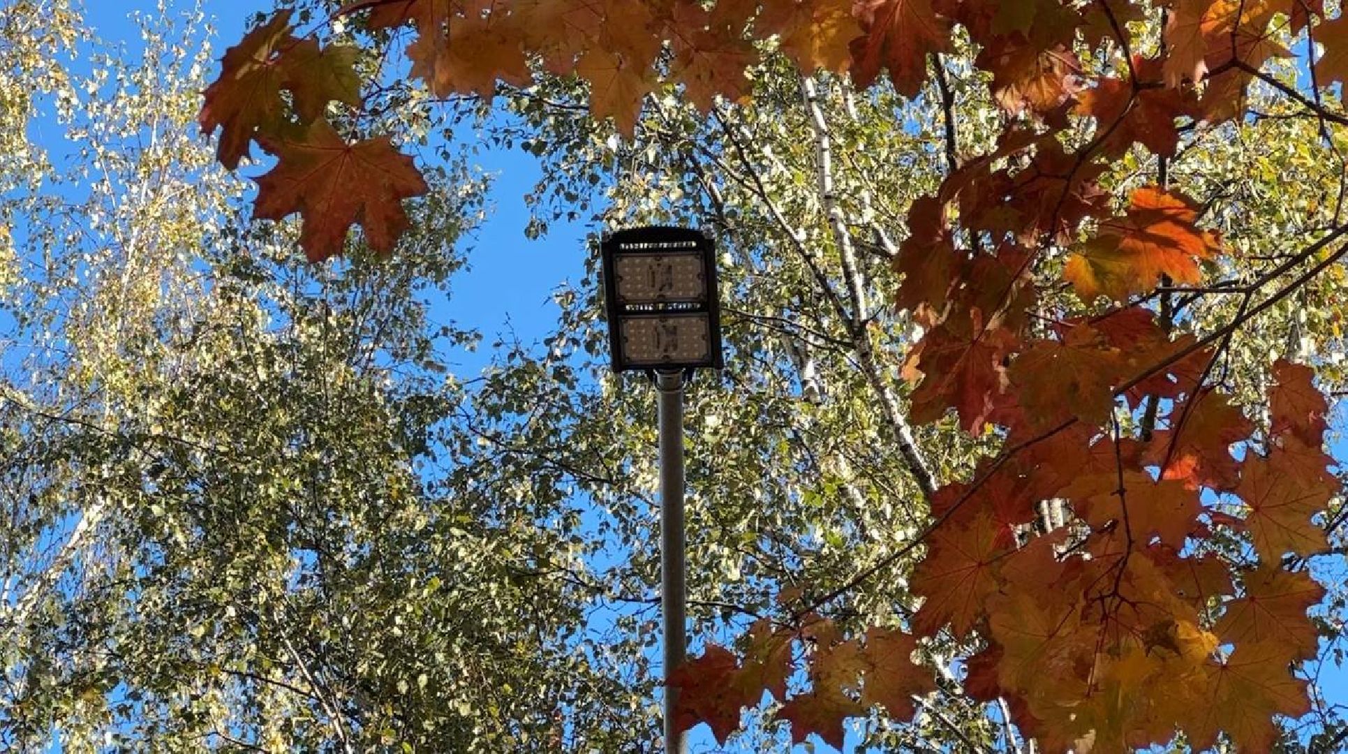 Реутов, благоустройство, добродел, фонари, освещение, освещение улиц, просьбы жителей,