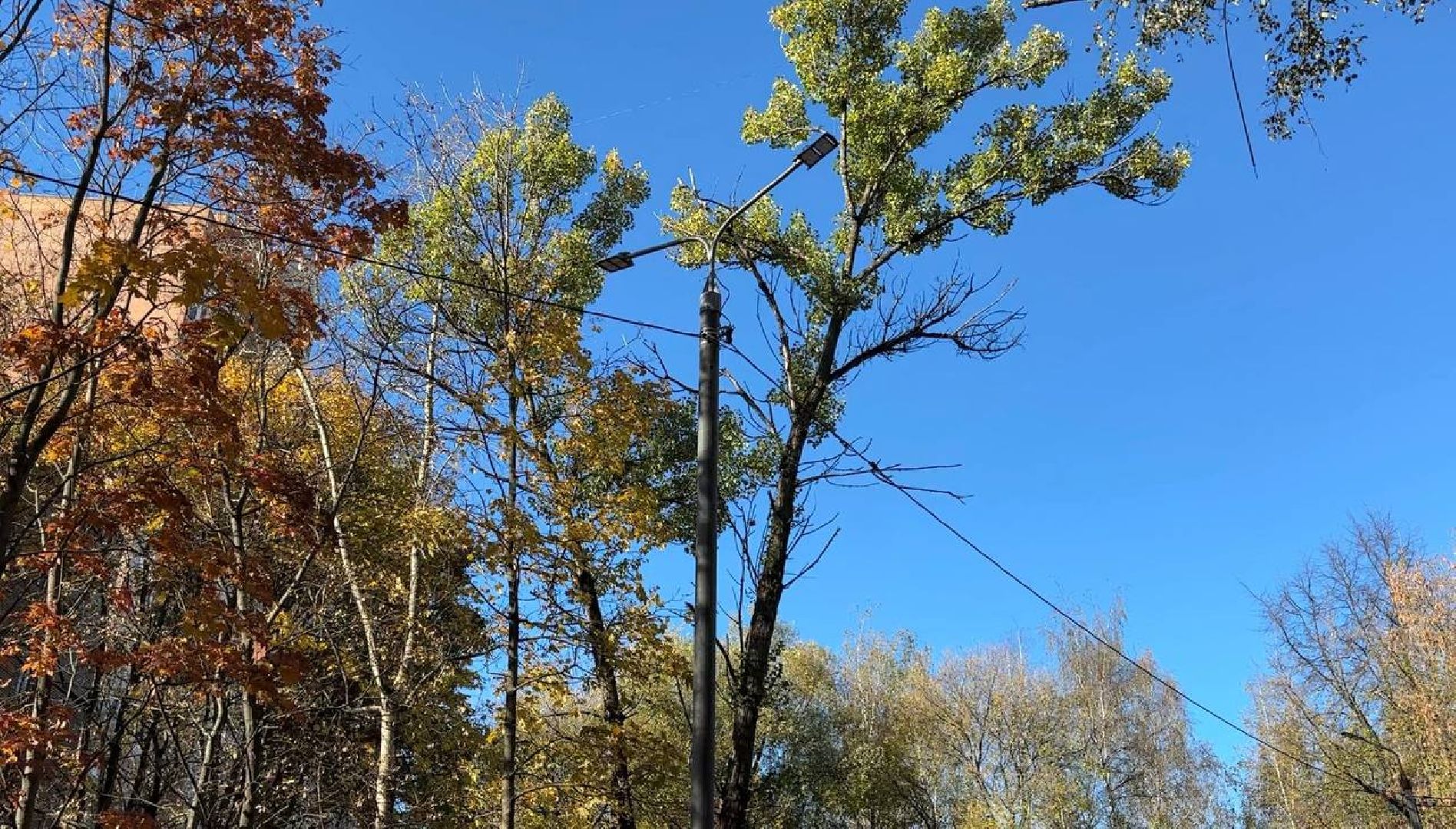 Реутов, благоустройство, добродел, фонари, освещение, освещение улиц, просьбы жителей,