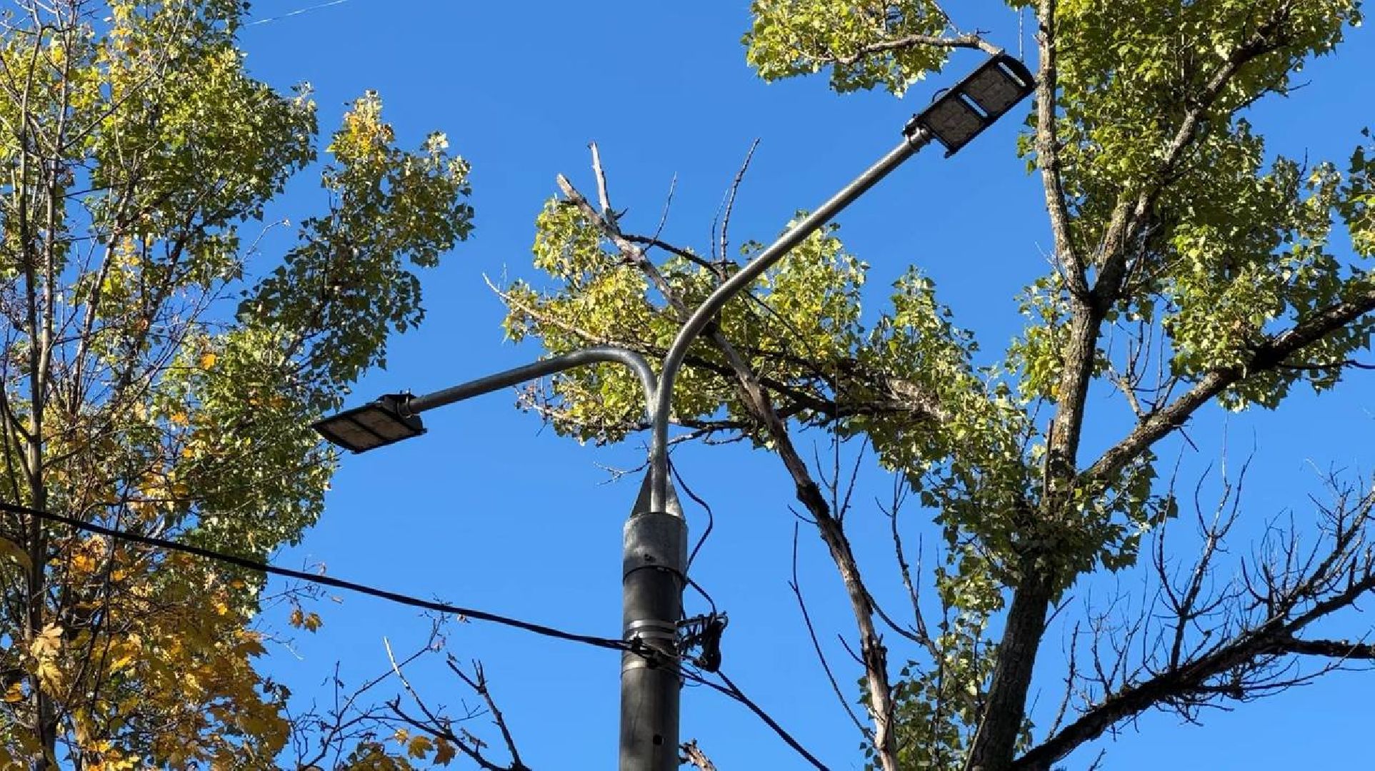 Реутов, благоустройство, добродел, фонари, освещение, освещение улиц, просьбы жителей,