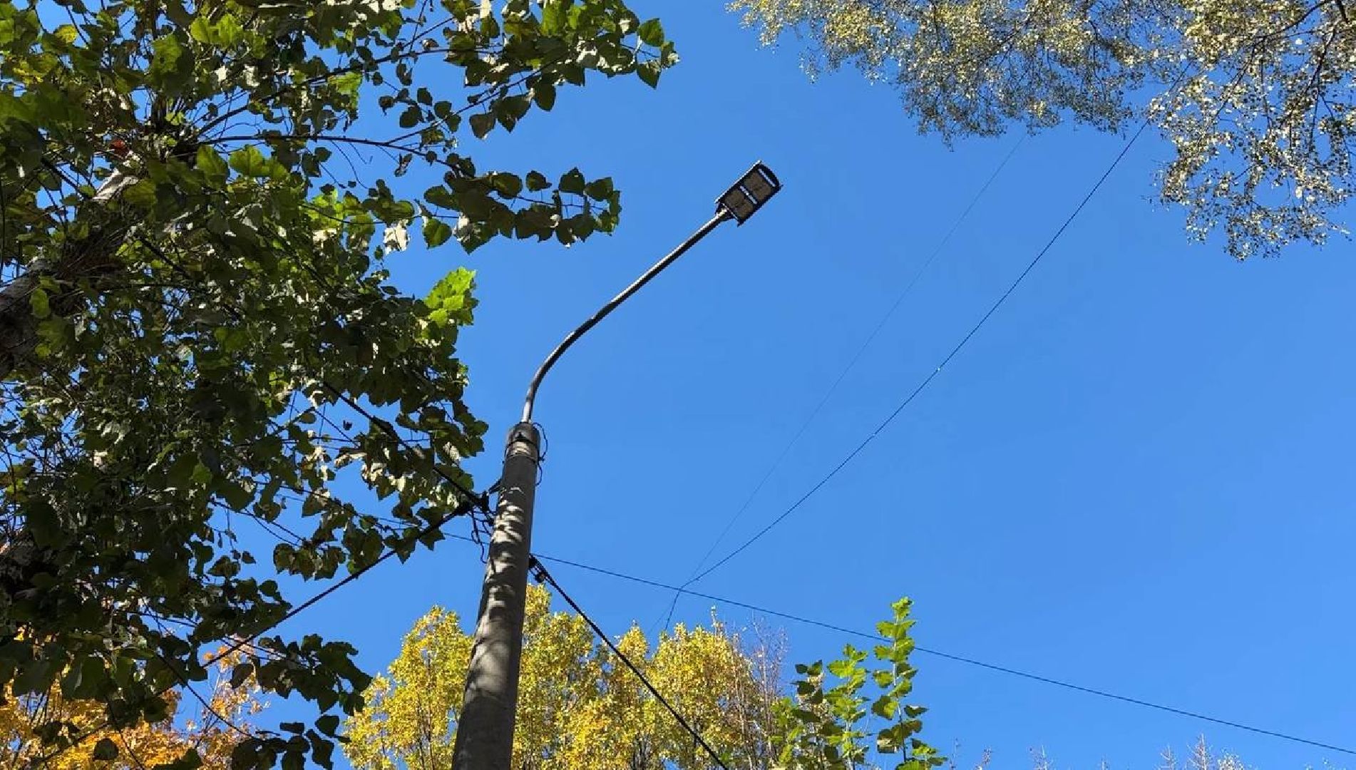 Реутов, благоустройство, добродел, фонари, освещение, освещение улиц, просьбы жителей,