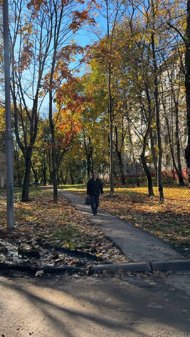 Реутов, благоустройство, добродел, фонари, освещение, освещение улиц, просьбы жителей,