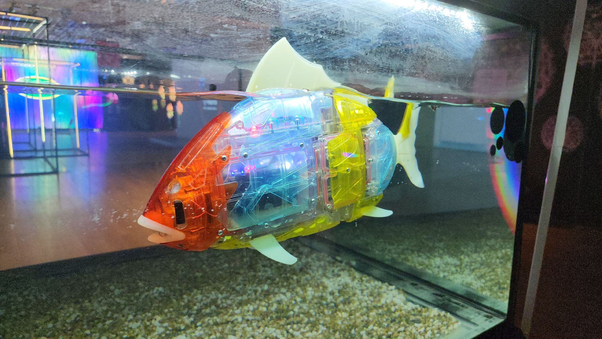 котельники, технологии, город будущего, роботы, инновации,