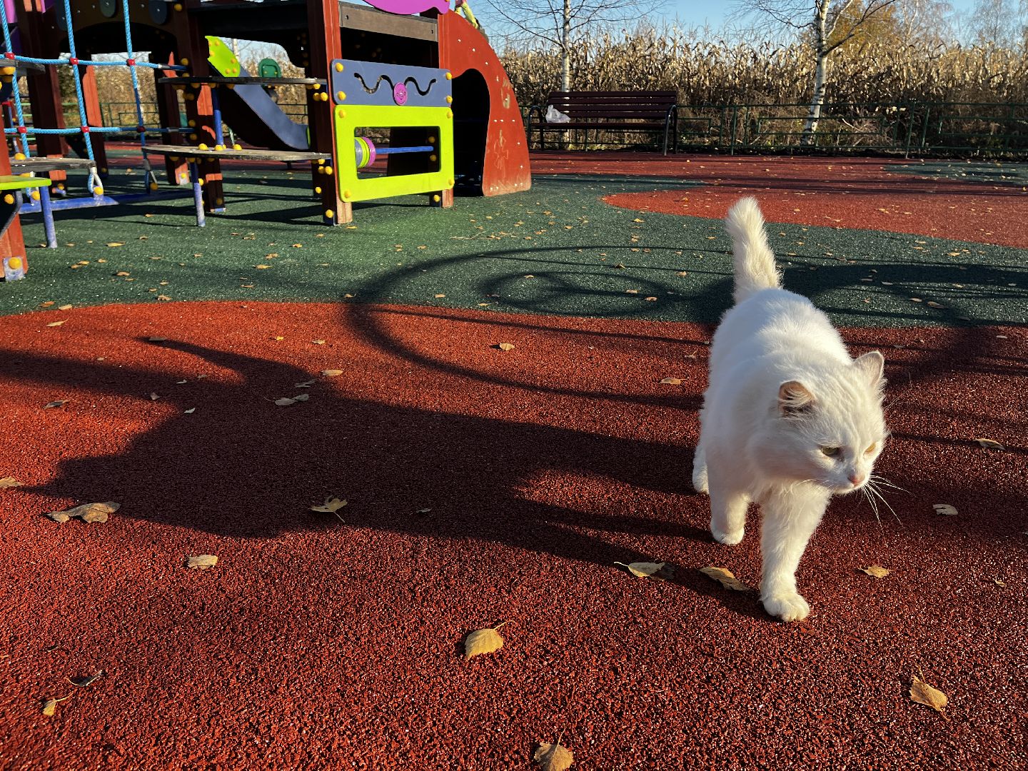 Волоколамск, Новая детская площадка, детям на радость,