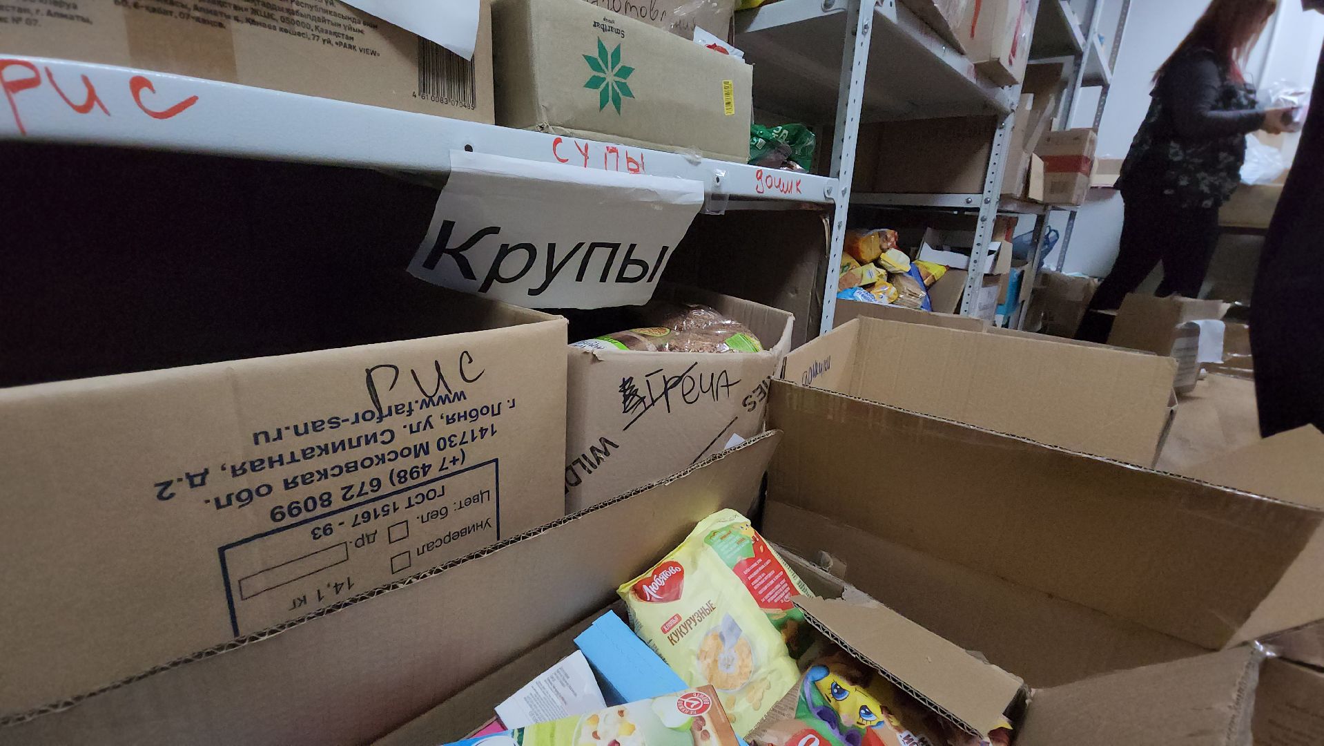 день добрых дел, Лобня, сво,