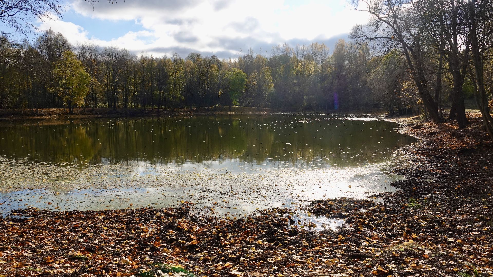 Экология, Сергиево-Посадский городской округ, Очистка прудов, По просьбам жителей,