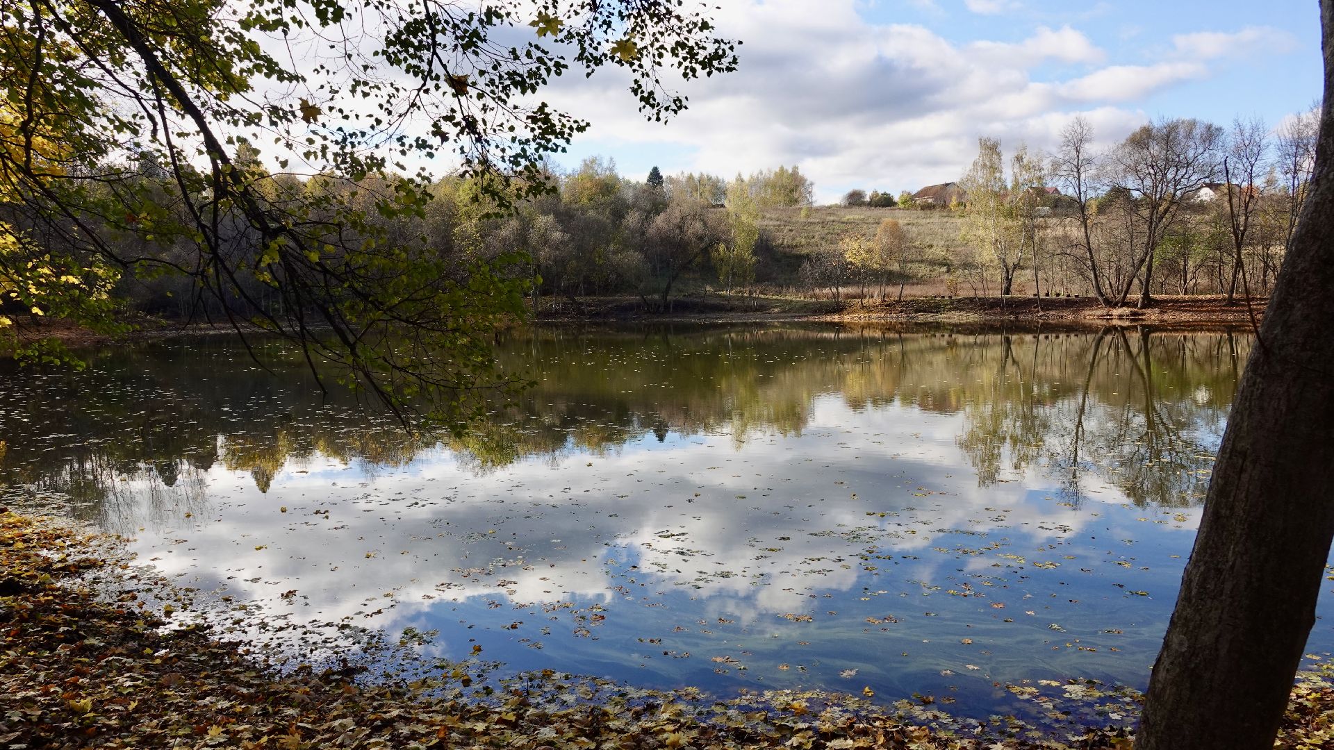 Экология, Сергиево-Посадский городской округ, Очистка прудов, По просьбам жителей,