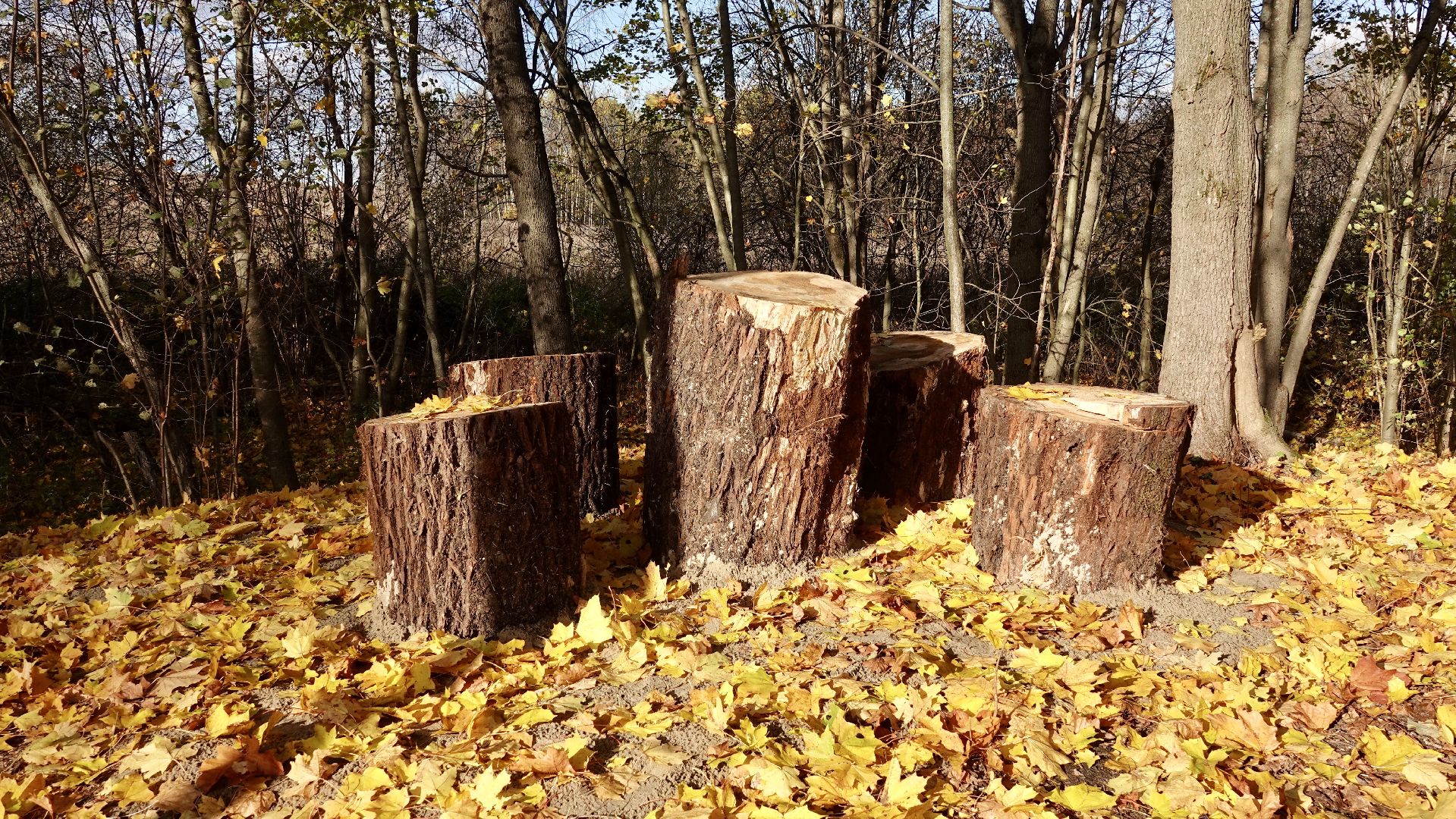Экология, Сергиево-Посадский городской округ, Очистка прудов, По просьбам жителей,