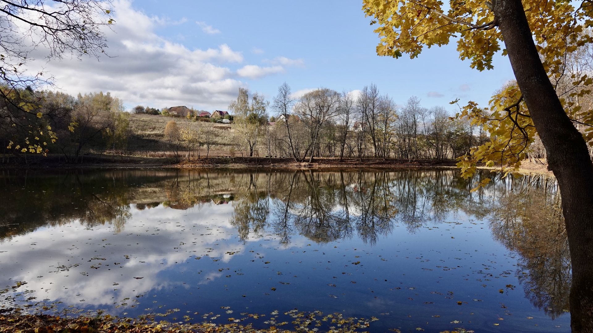 Экология, Сергиево-Посадский городской округ, Очистка прудов, По просьбам жителей,