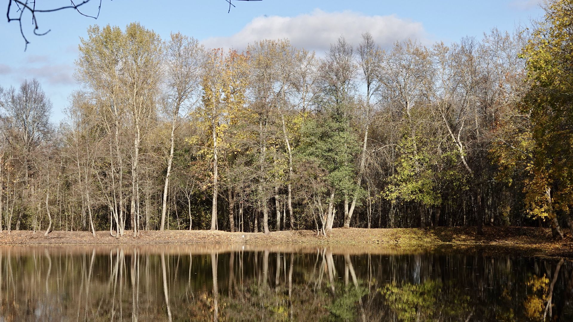 Экология, Сергиево-Посадский городской округ, Очистка прудов, По просьбам жителей,