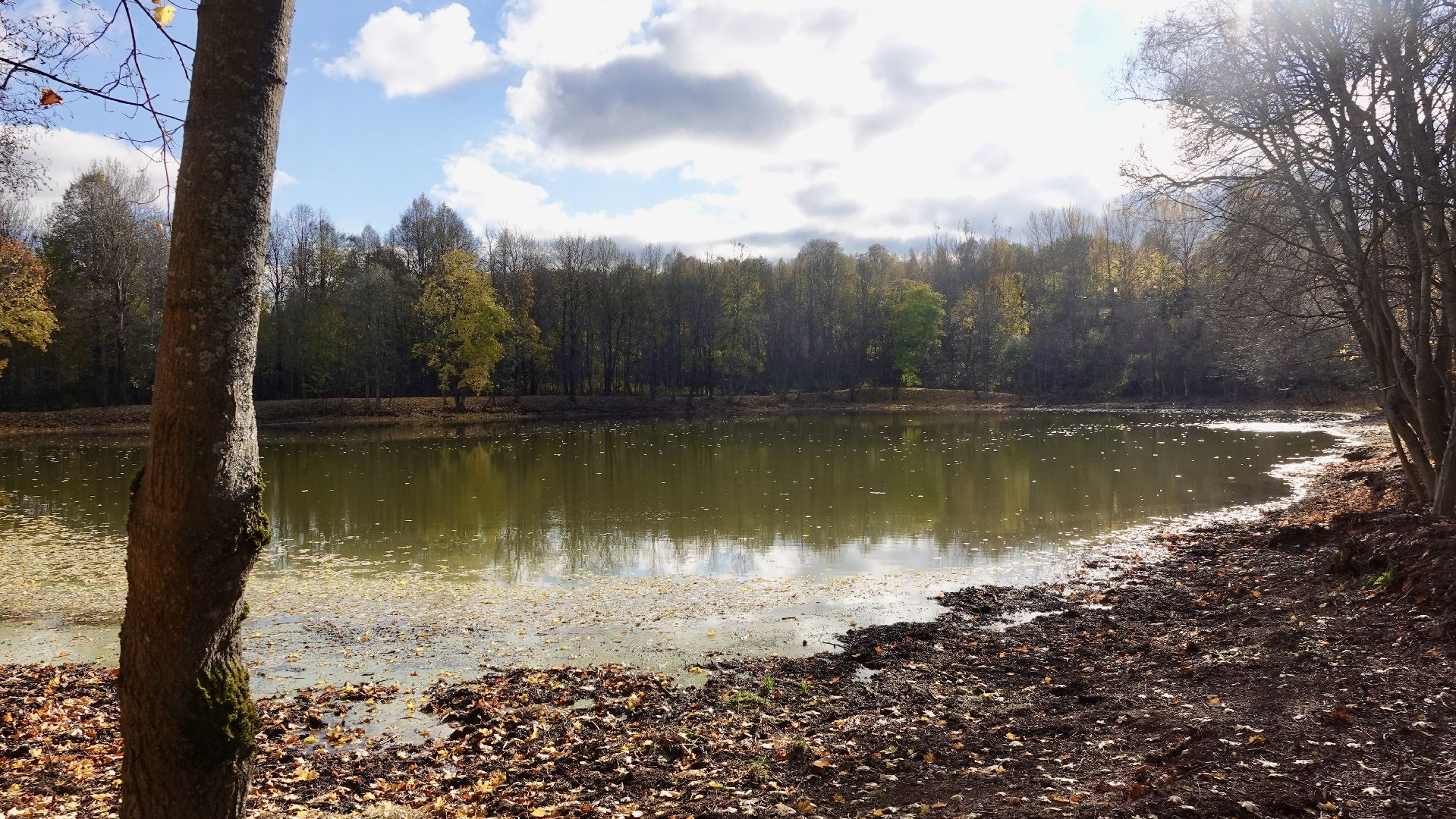 Экология, Сергиево-Посадский городской округ, Очистка прудов, По просьбам жителей,