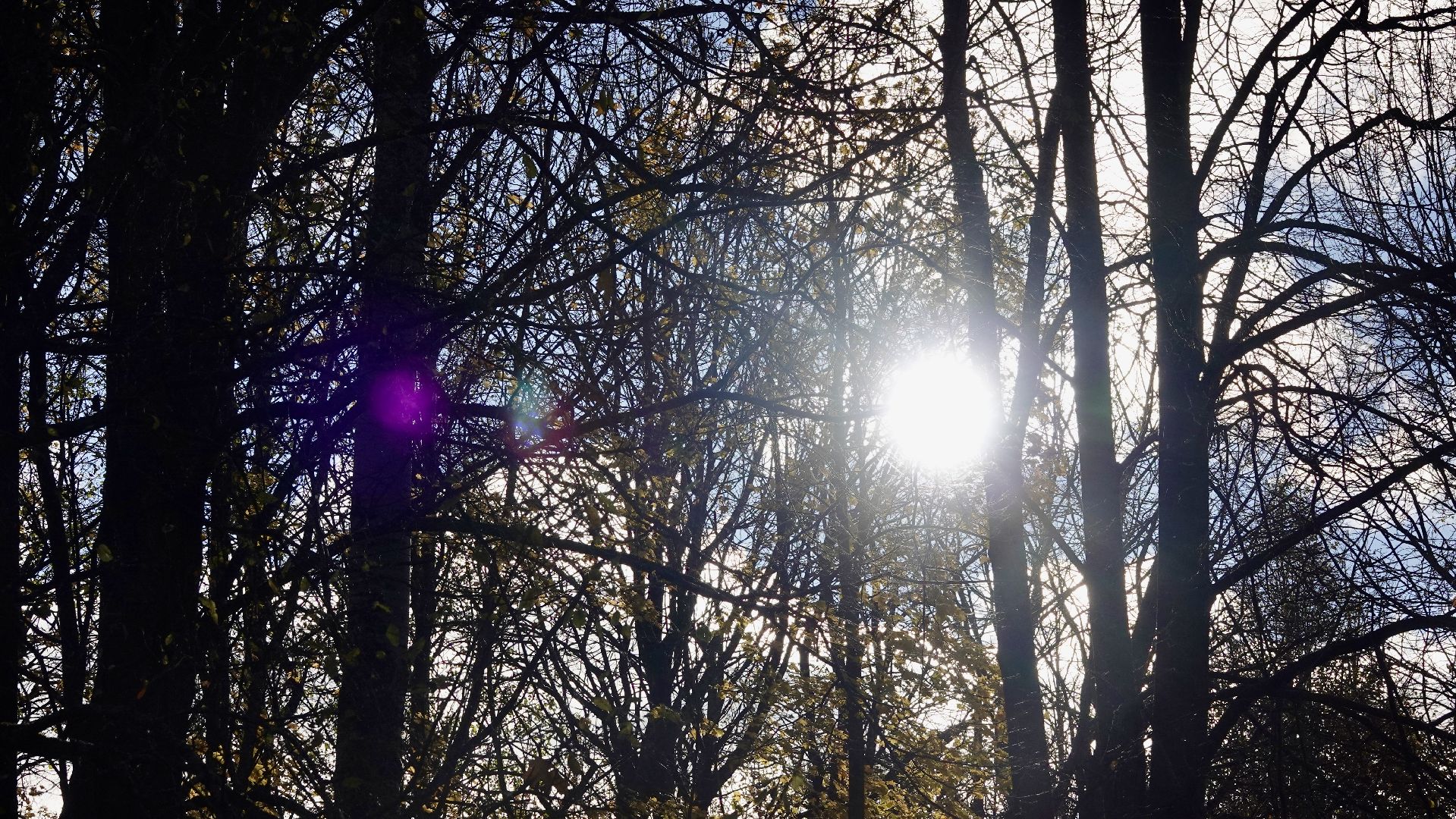 Экология, Сергиево-Посадский городской округ, Очистка прудов, По просьбам жителей,