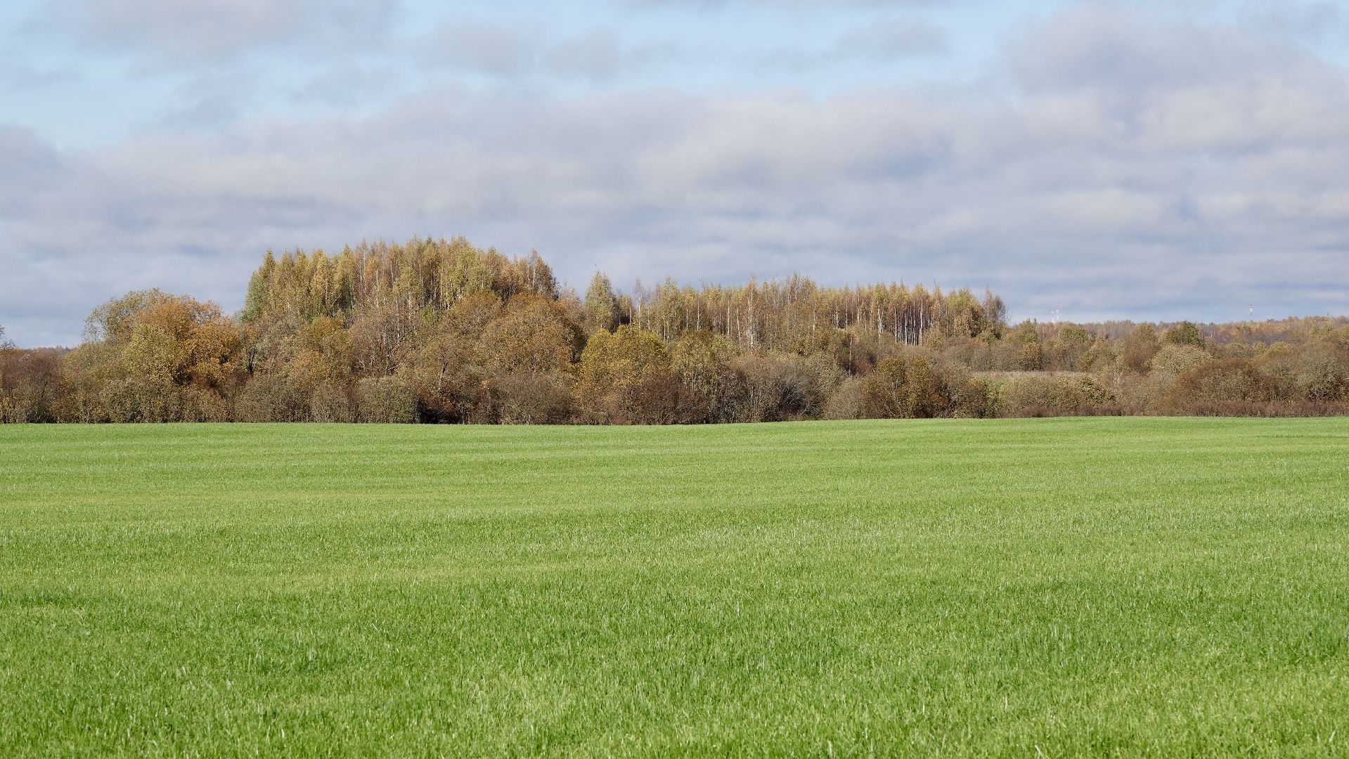 Сергиево-Посадский городской округ, Кузьмино, Сельское хозяйство, Инновации,