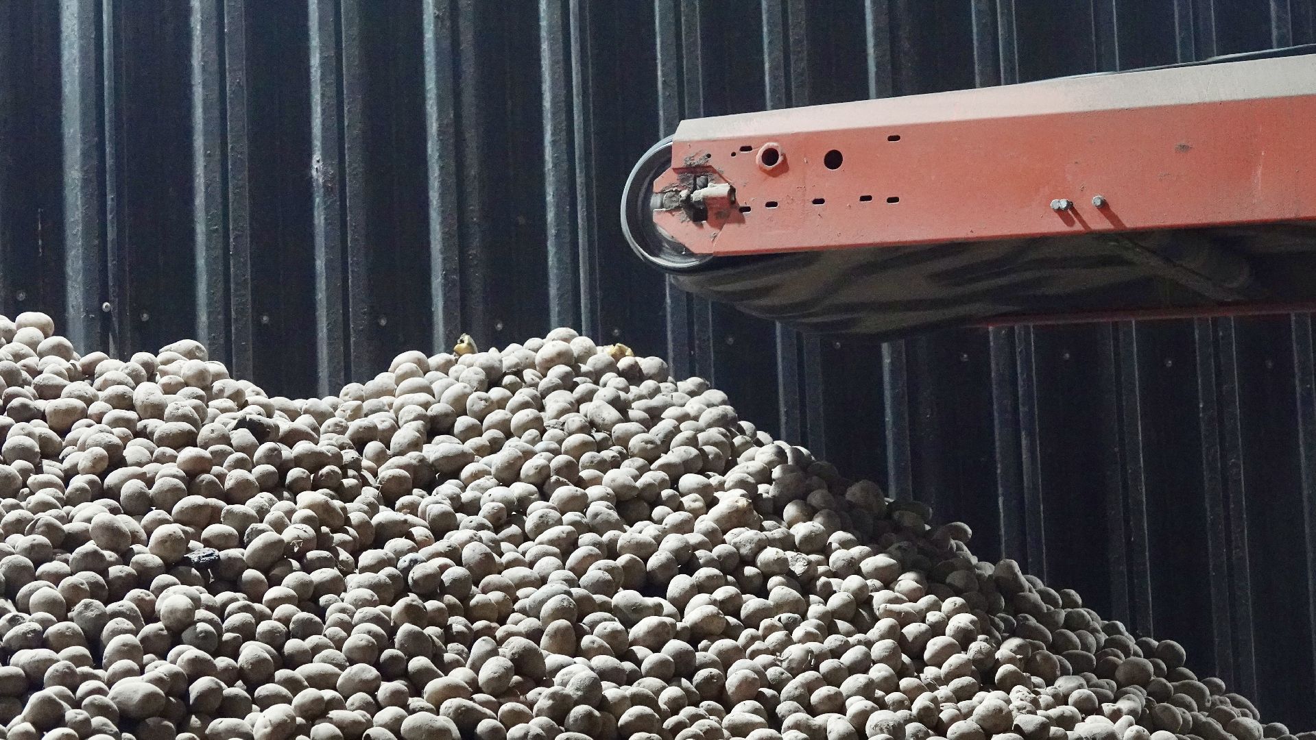 Сергиево-Посадский городской округ, Кузьмино, Сельское хозяйство, Инновации,