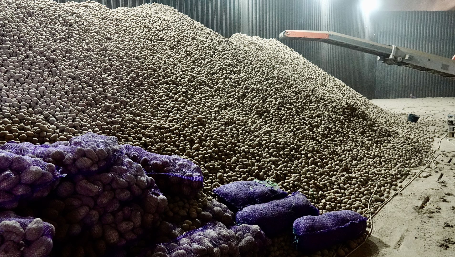 Сергиево-Посадский городской округ, Кузьмино, Сельское хозяйство, Инновации,