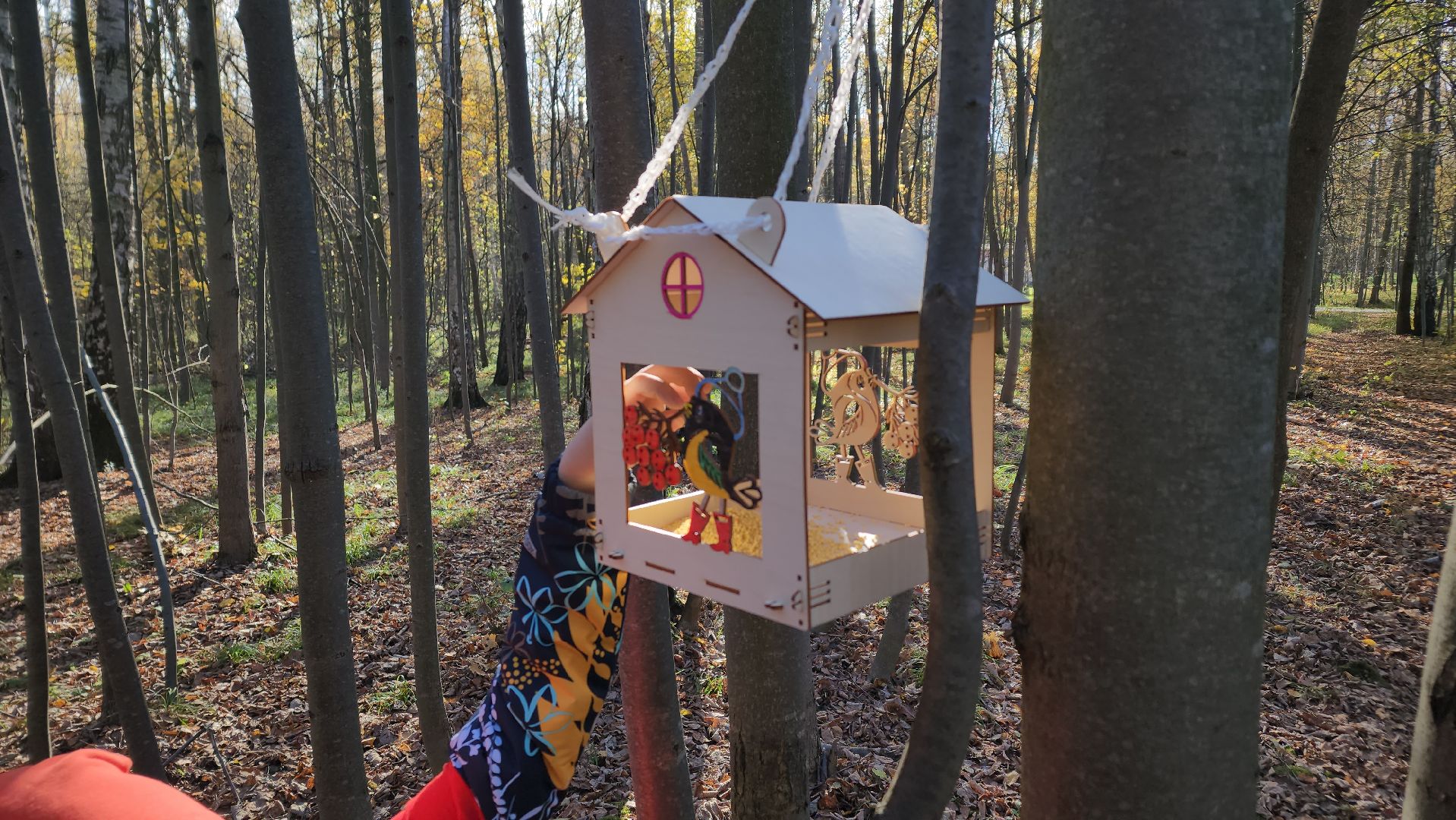 ступино, день отца, парки подмосковье,