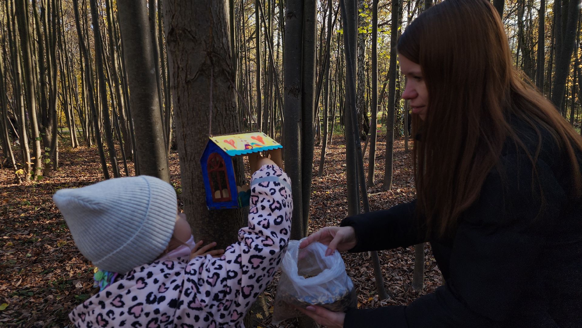 ступино, день отца, парки подмосковье,