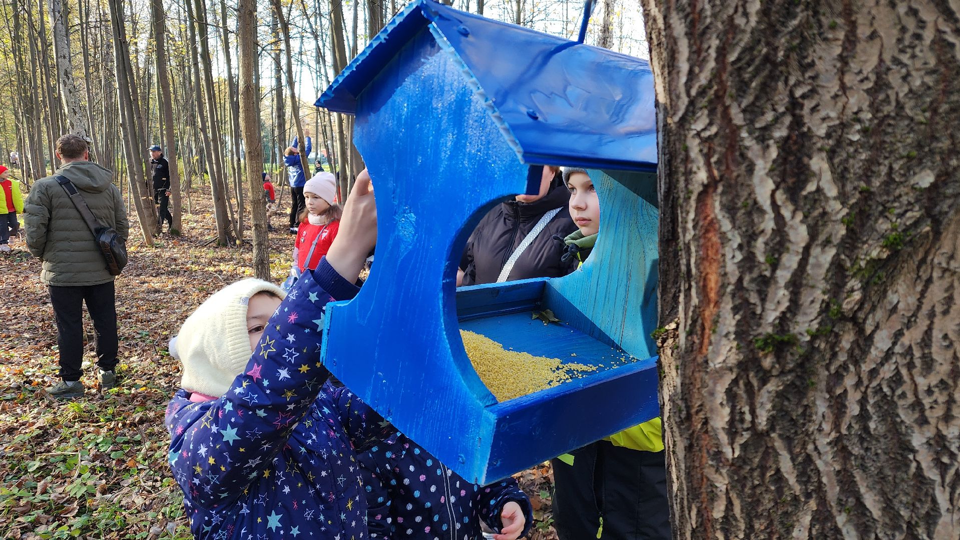 ступино, день отца, парки подмосковье,