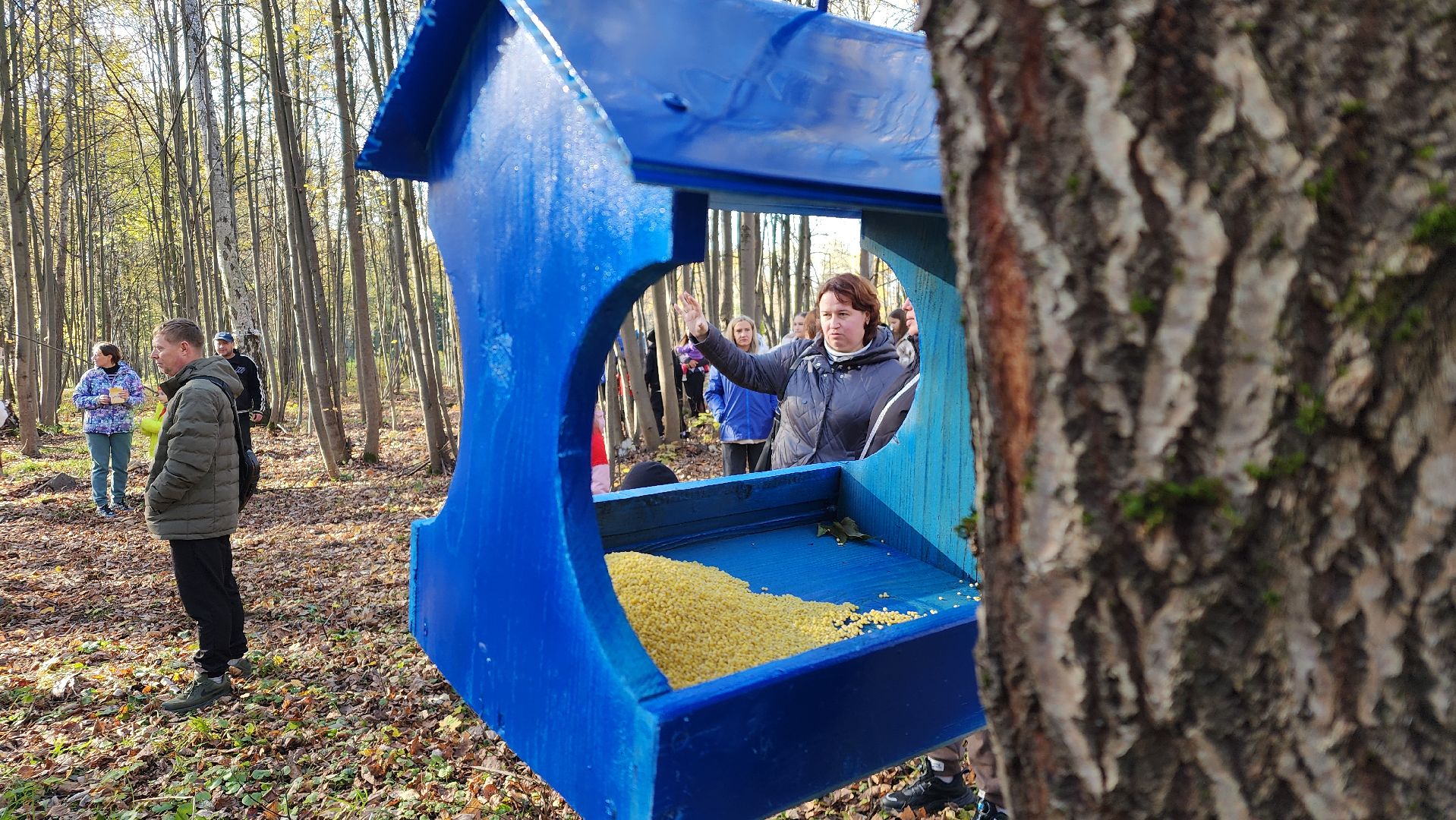 ступино, день отца, парки подмосковье,