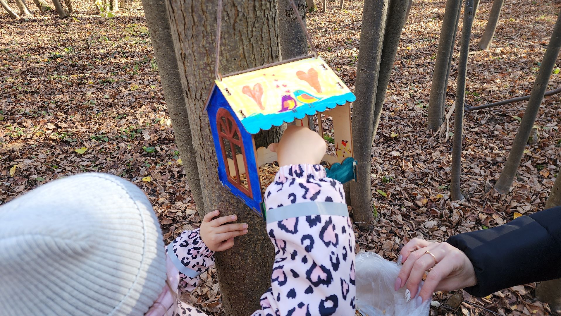 ступино, день отца, парки подмосковье,