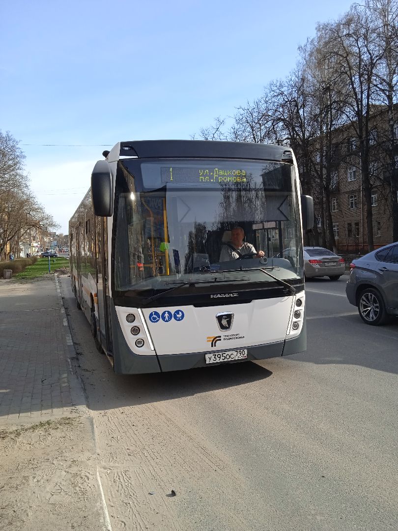 Пасха, автобус, транспорт, кладбище, Островцы