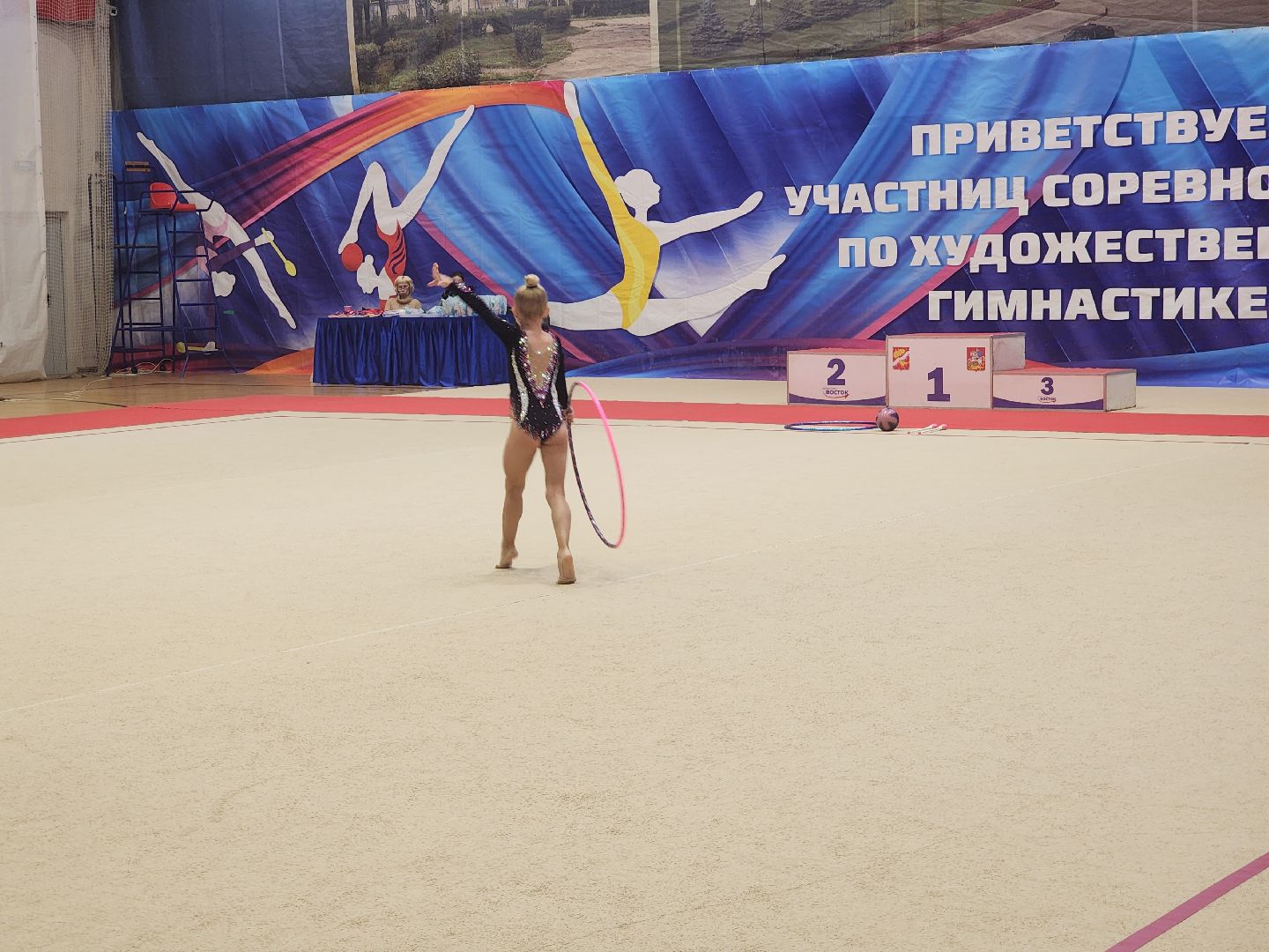 художественная галерея, турнир по художественной гимнастике, орехово зуево,