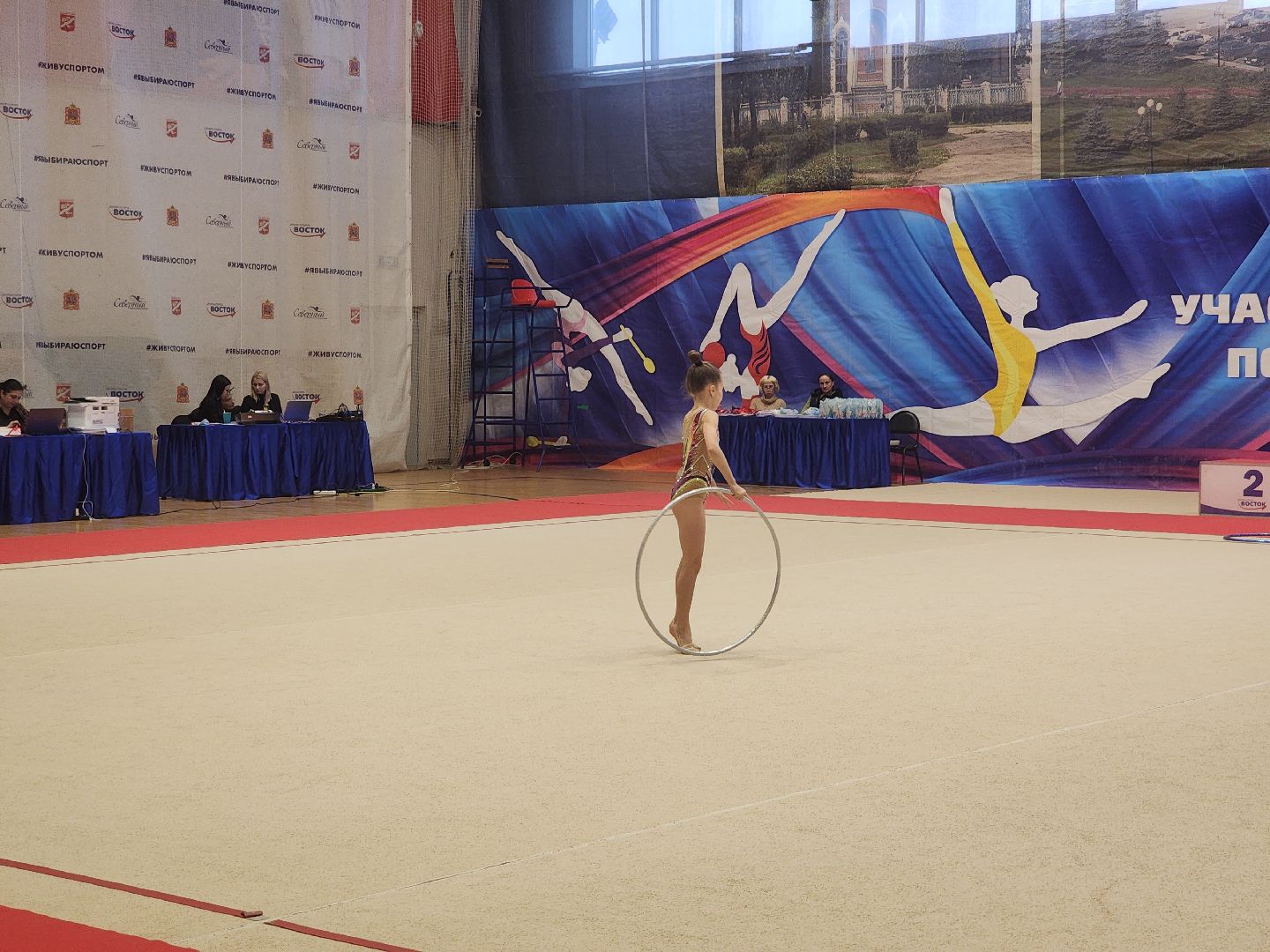 художественная галерея, турнир по художественной гимнастике, орехово зуево,