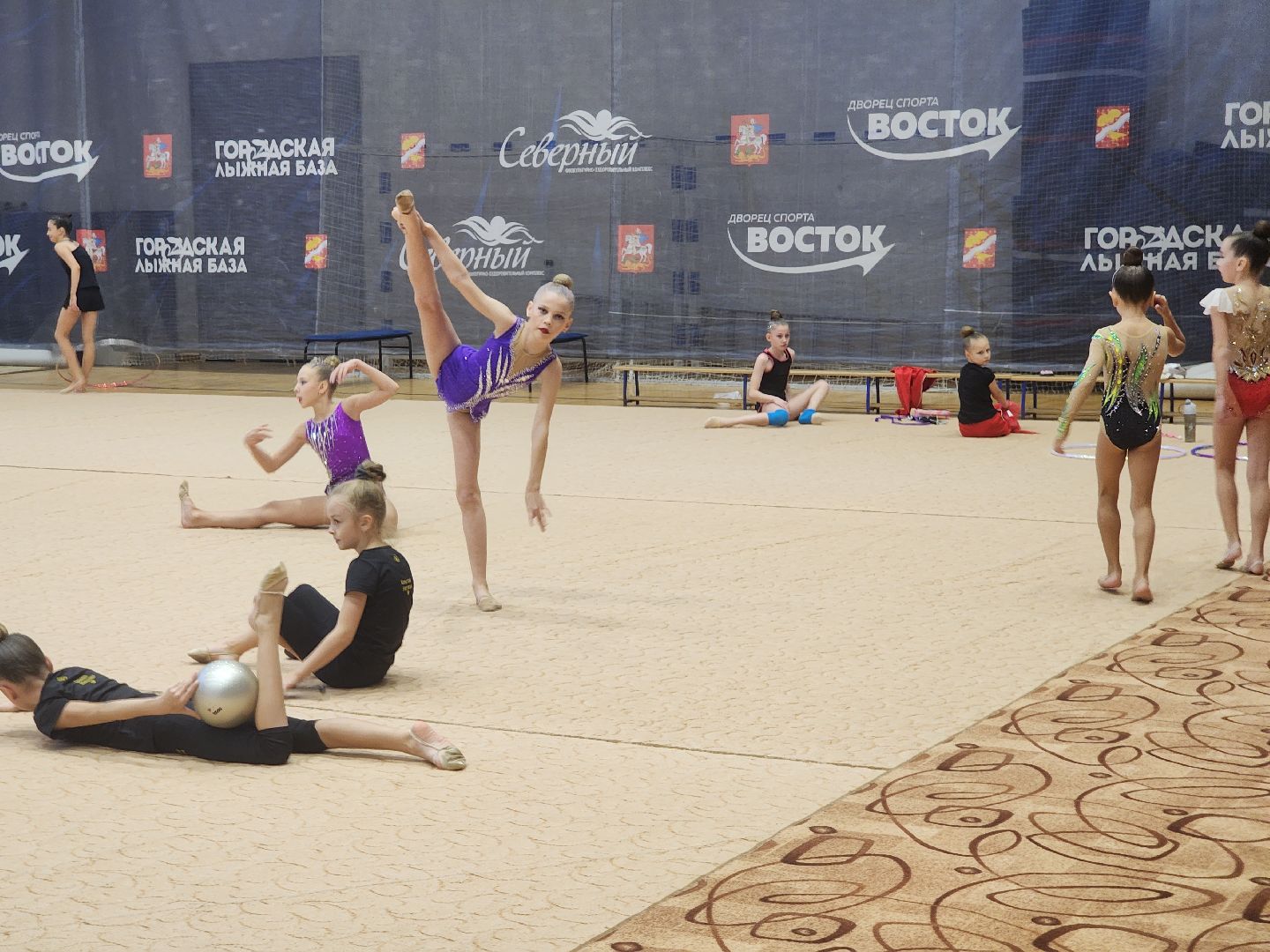 художественная галерея, турнир по художественной гимнастике, орехово зуево,