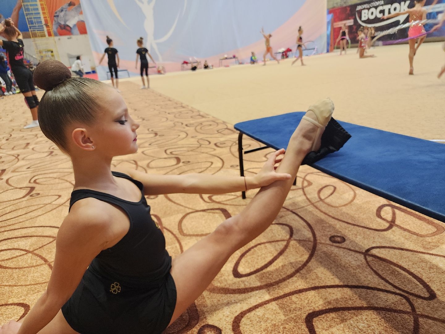 художественная галерея, турнир по художественной гимнастике, орехово зуево,