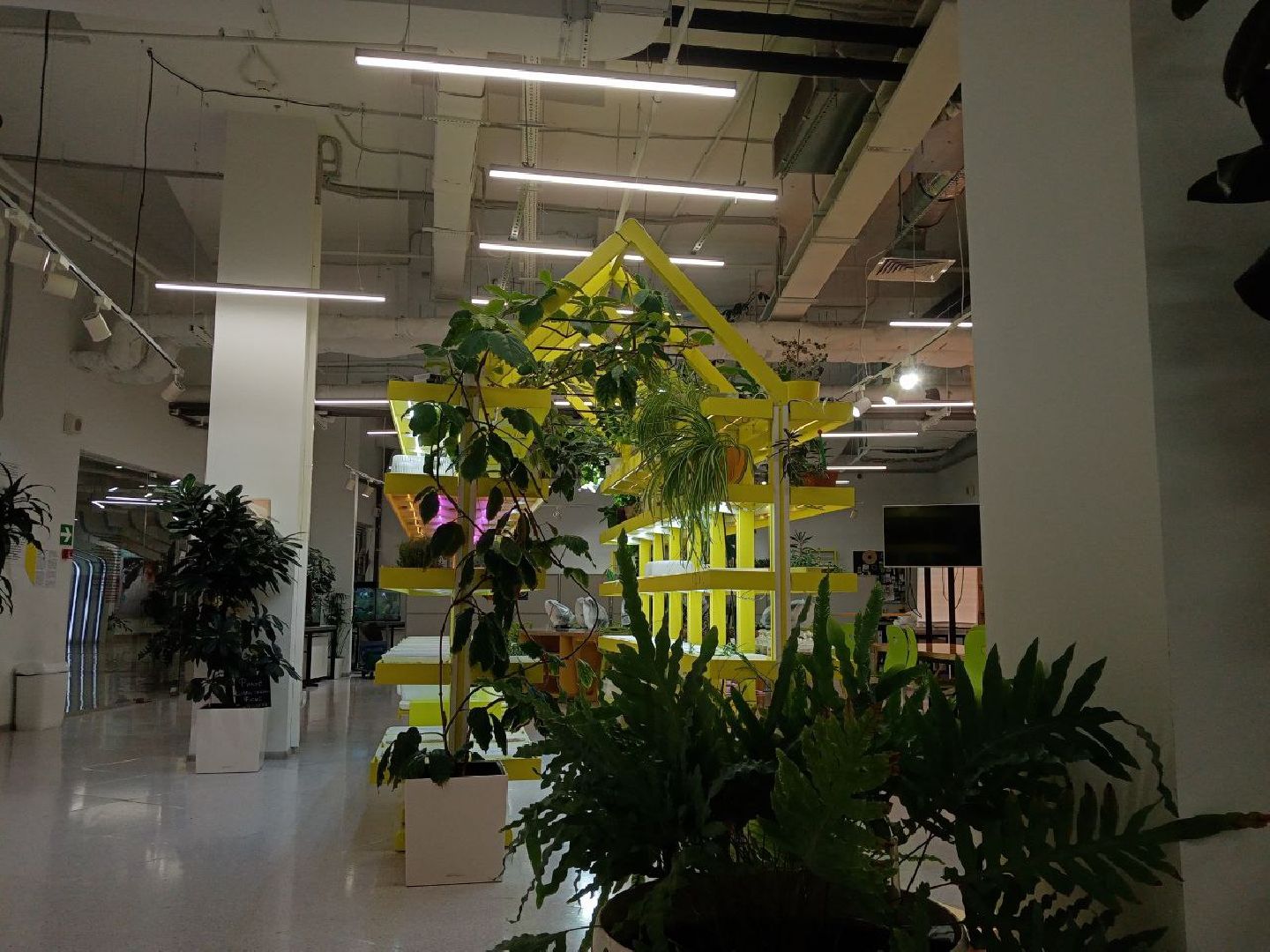 Подольск, образование