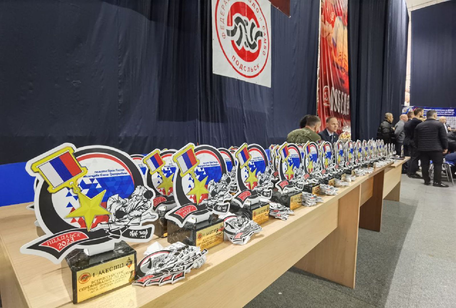 Подольск, дзюдо