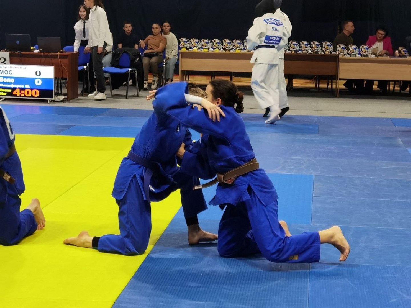 Подольск, дзюдо