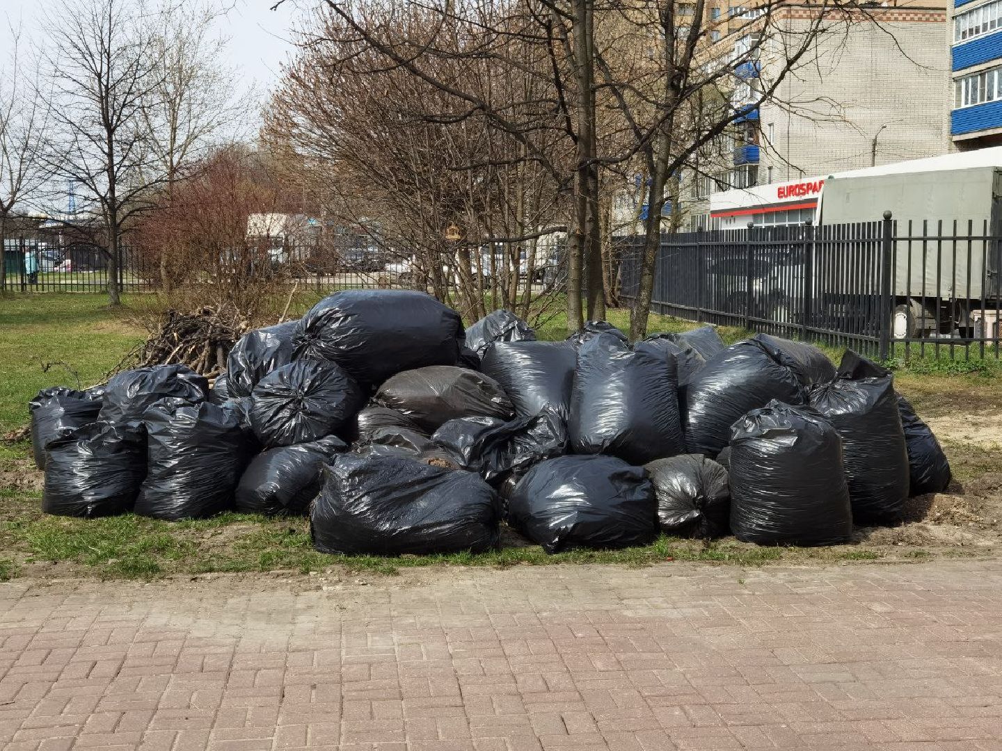 Подольск, парк, субботник