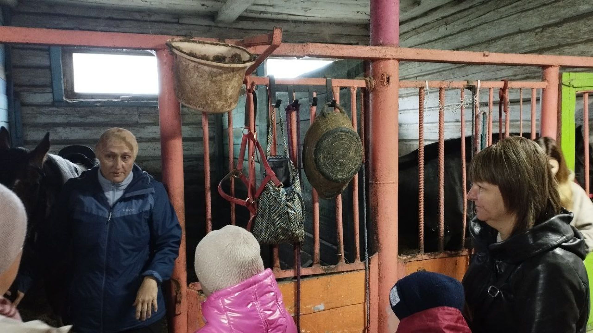 ивантеевка, пушкинский, иппотерапия, дети с овз, конный клуб, психология,