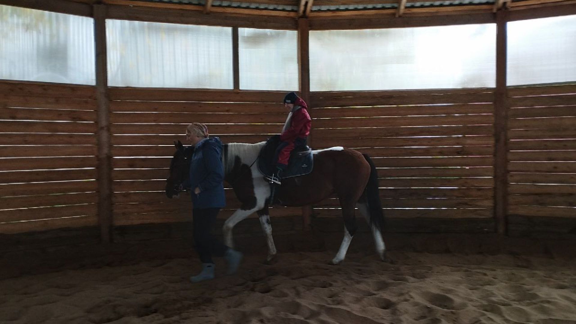 ивантеевка, пушкинский, иппотерапия, дети с овз, конный клуб, психология,