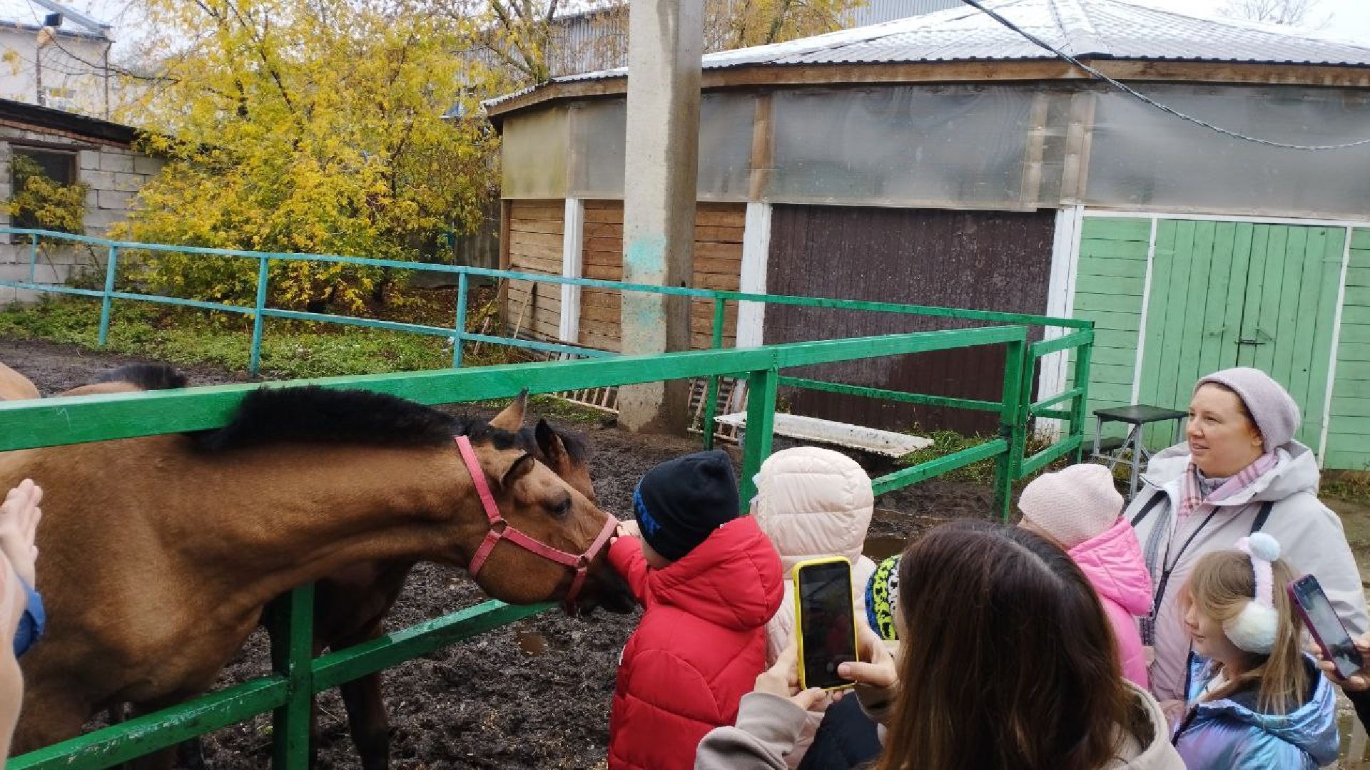 ивантеевка, пушкинский, иппотерапия, дети с овз, конный клуб, психология,
