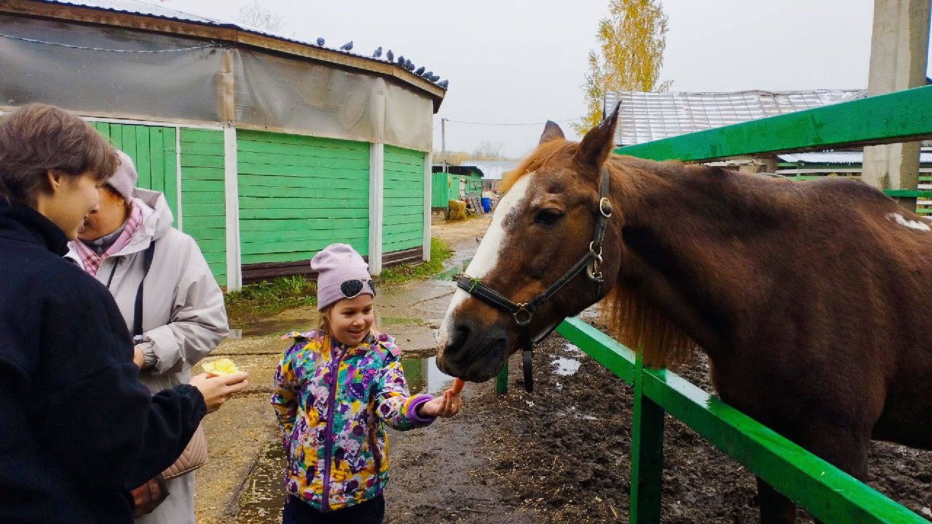 ивантеевка, пушкинский, иппотерапия, дети с овз, конный клуб, психология,