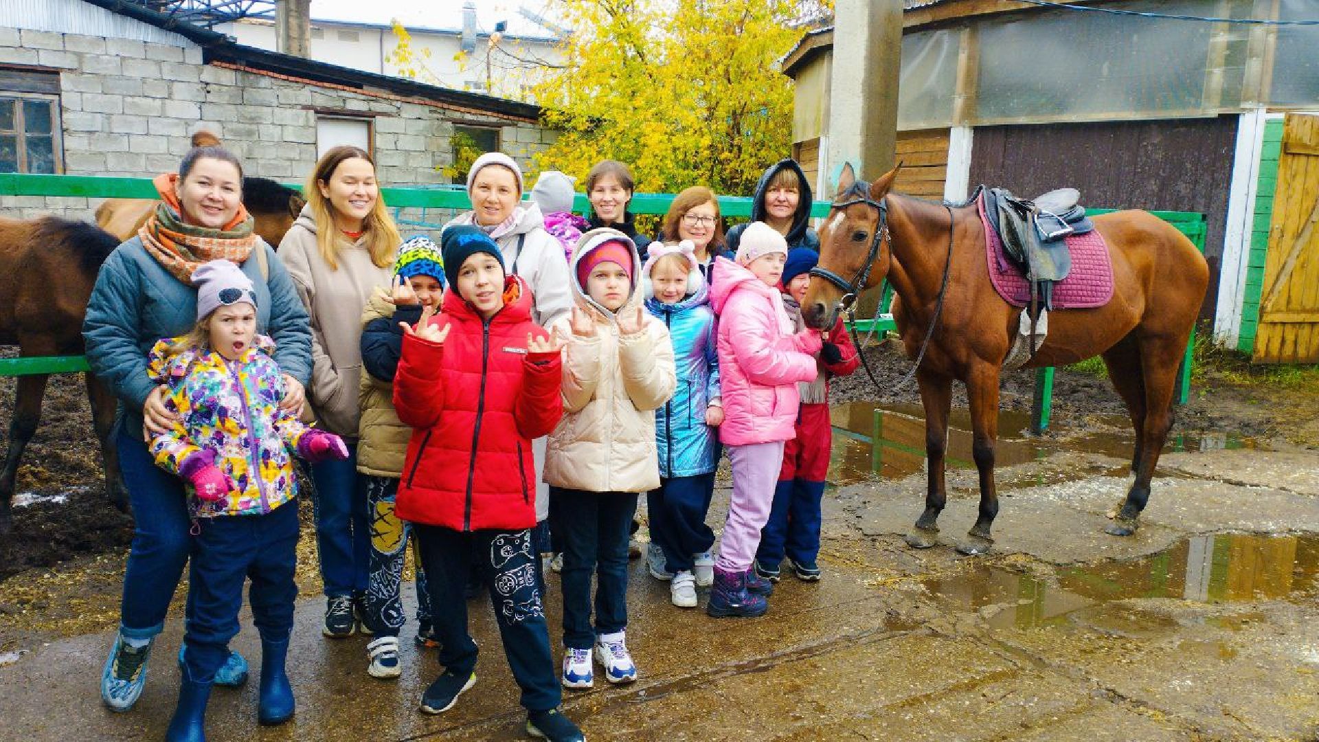 ивантеевка, пушкинский, иппотерапия, дети с овз, конный клуб, психология,