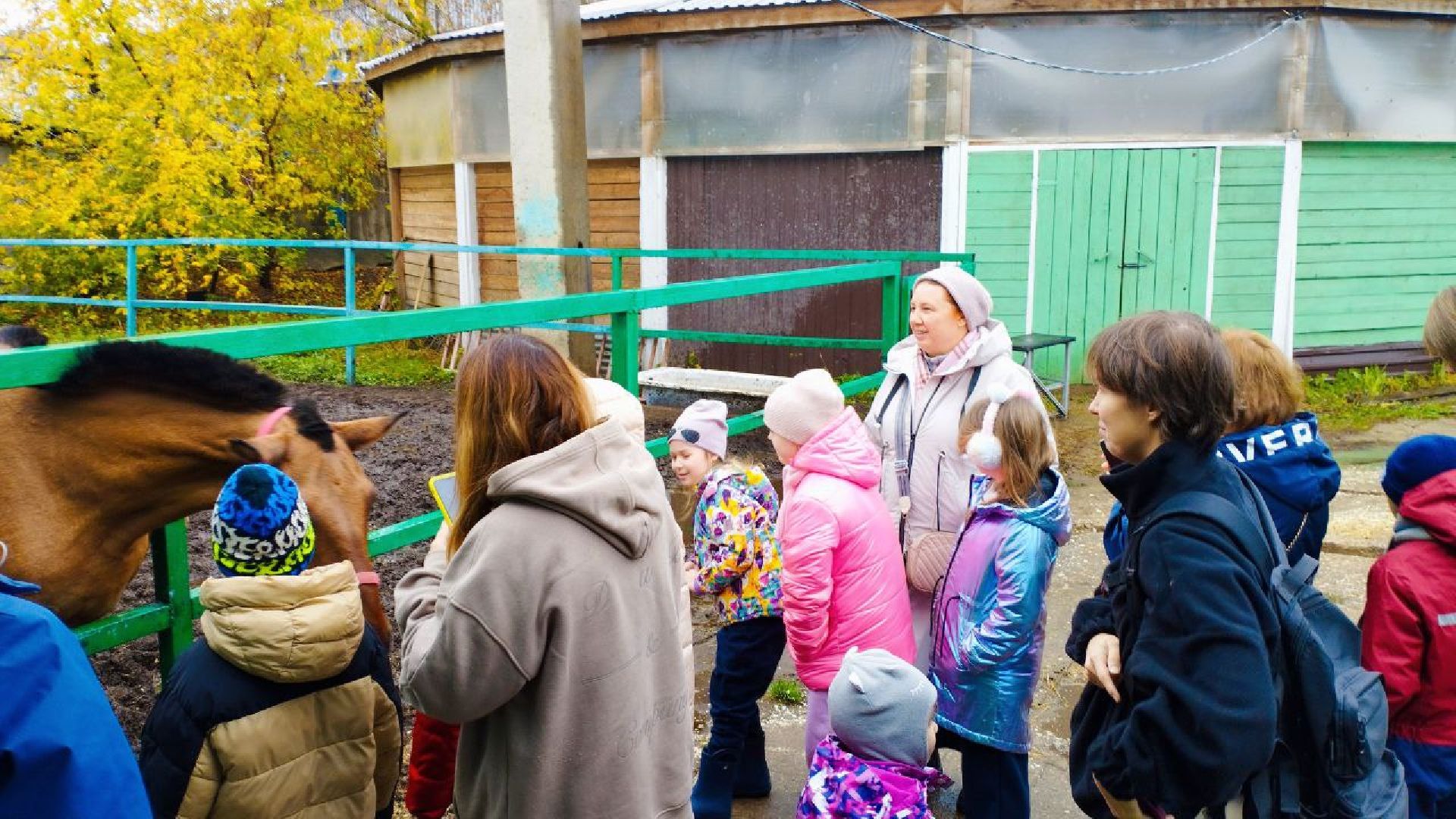 ивантеевка, пушкинский, иппотерапия, дети с овз, конный клуб, психология,