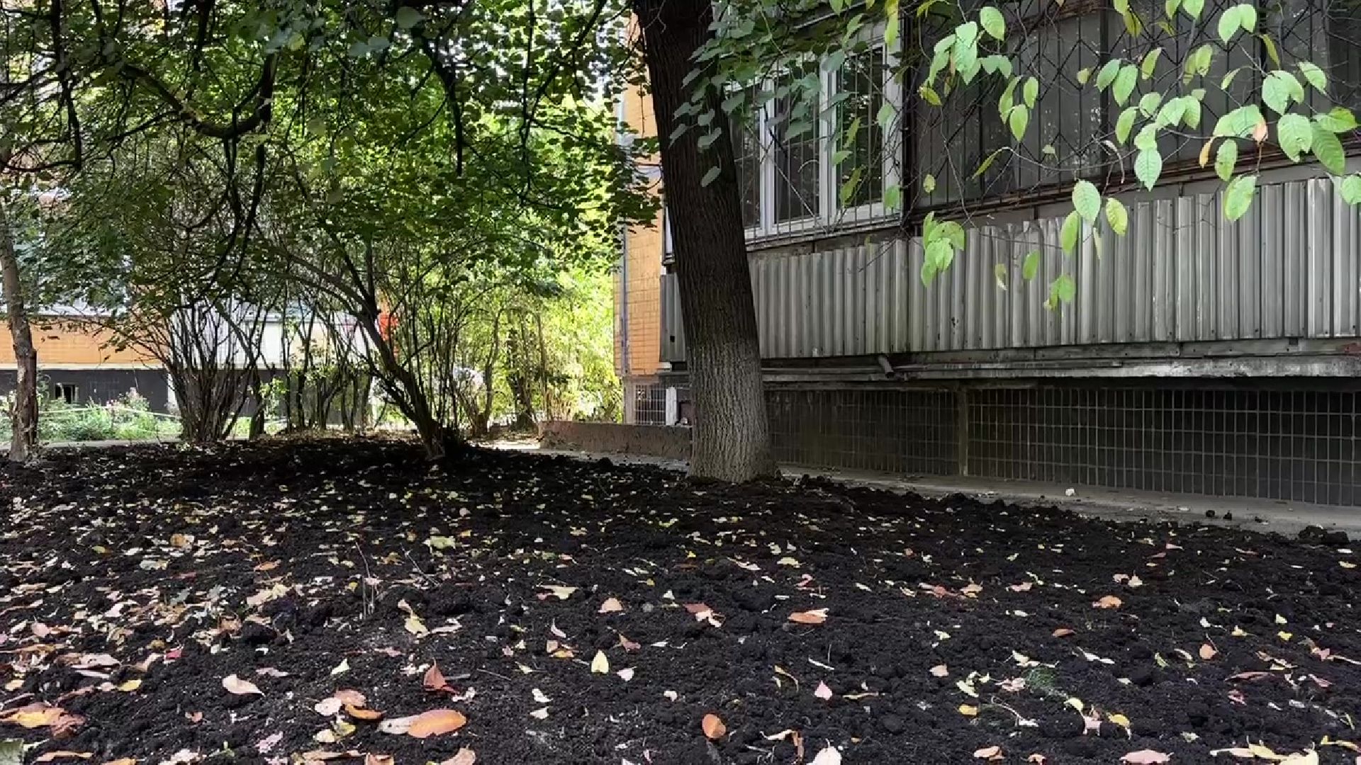 Реутов, двор, благоустройство, деревья, кустарники,