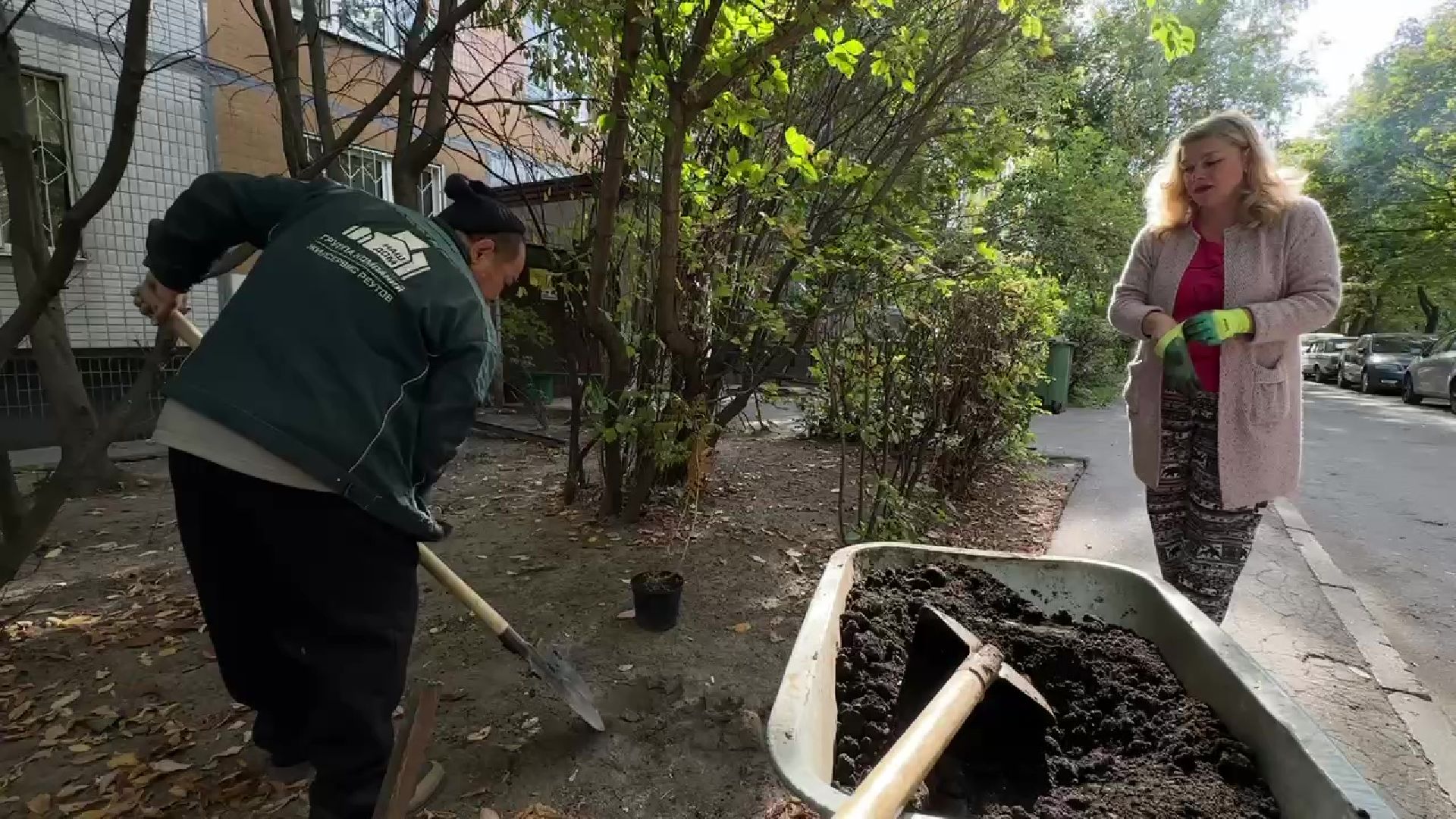 Реутов, двор, благоустройство, деревья, кустарники,