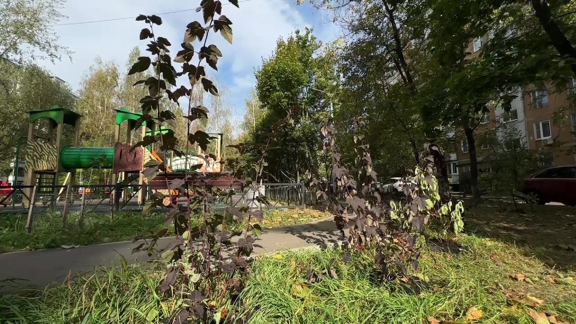 Реутов, двор, благоустройство, деревья, кустарники,