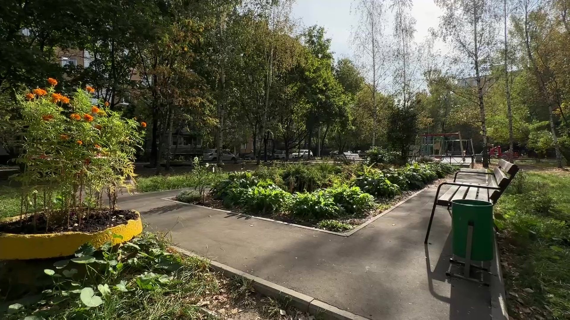 Реутов, двор, благоустройство, деревья, кустарники,