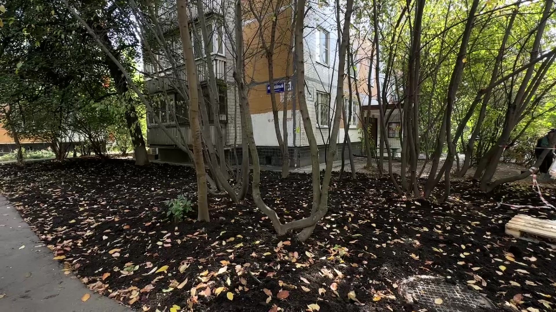 Реутов, двор, благоустройство, деревья, кустарники,