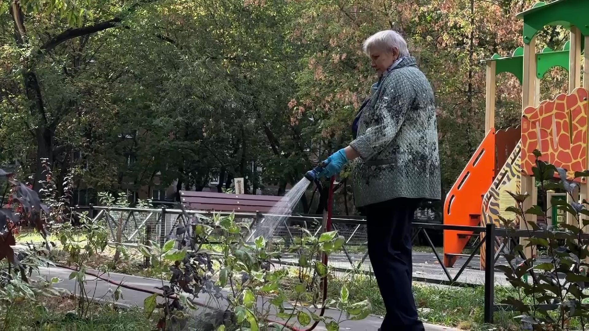 Реутов, двор, благоустройство, деревья, кустарники,