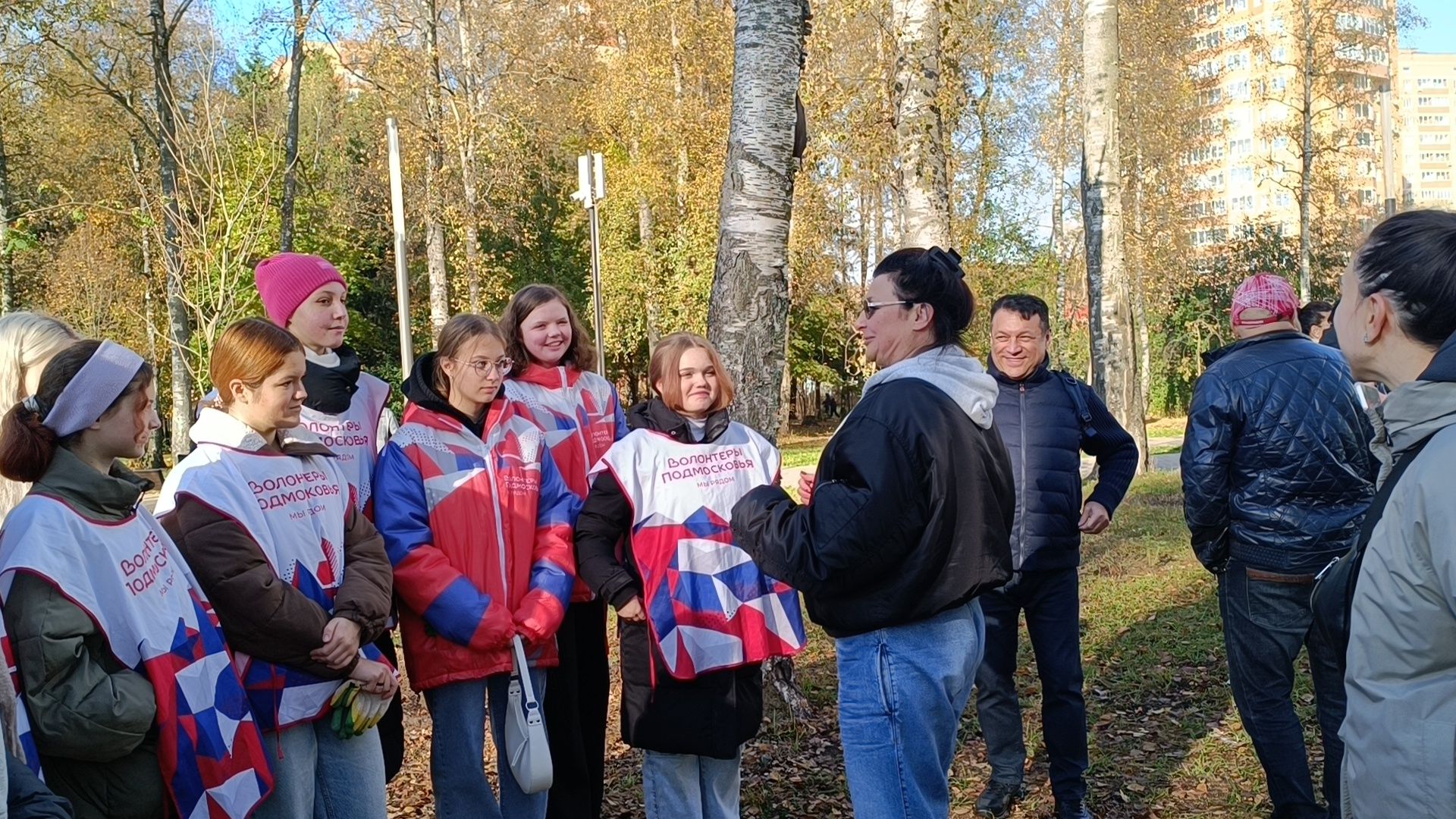 озеленение, лобня, посадка деревьев,