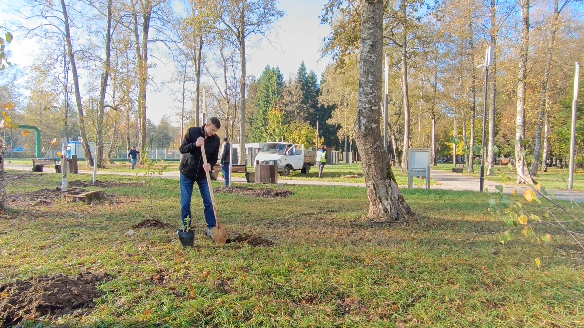озеленение, лобня, посадка деревьев,
