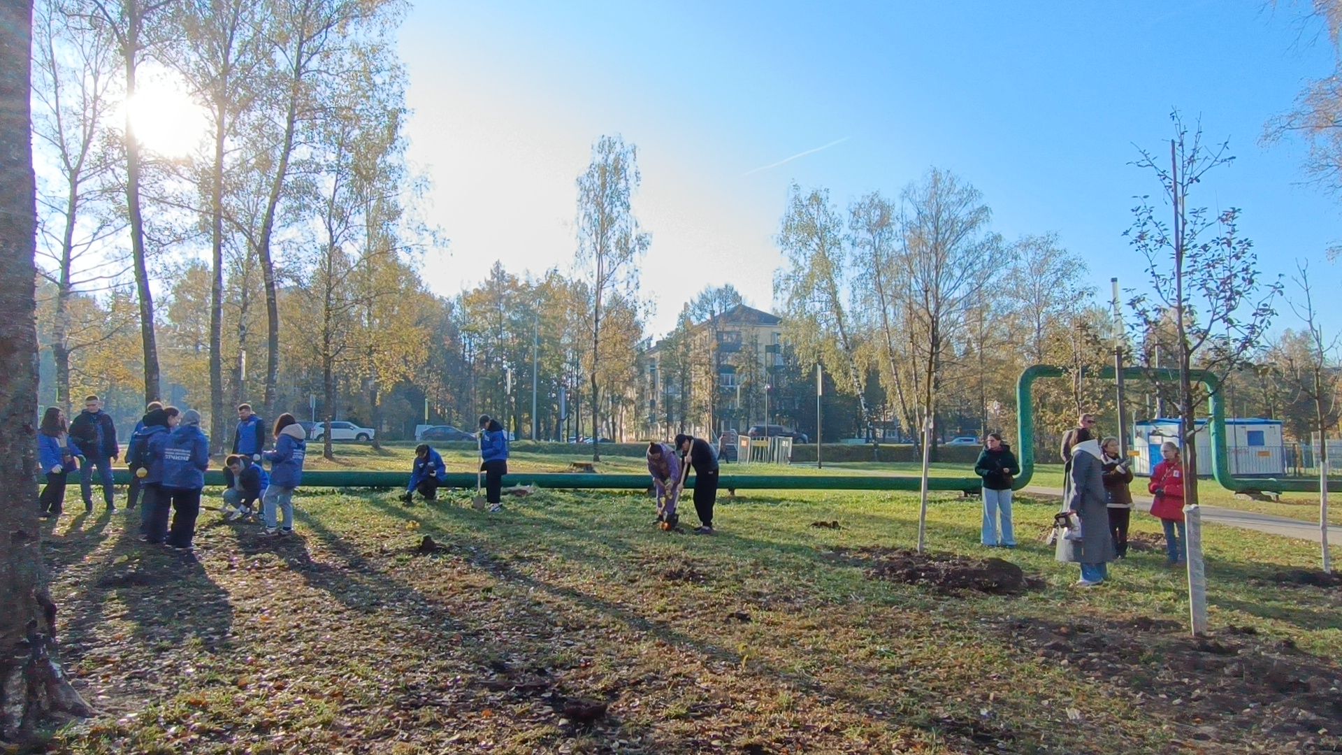 озеленение, лобня, посадка деревьев,